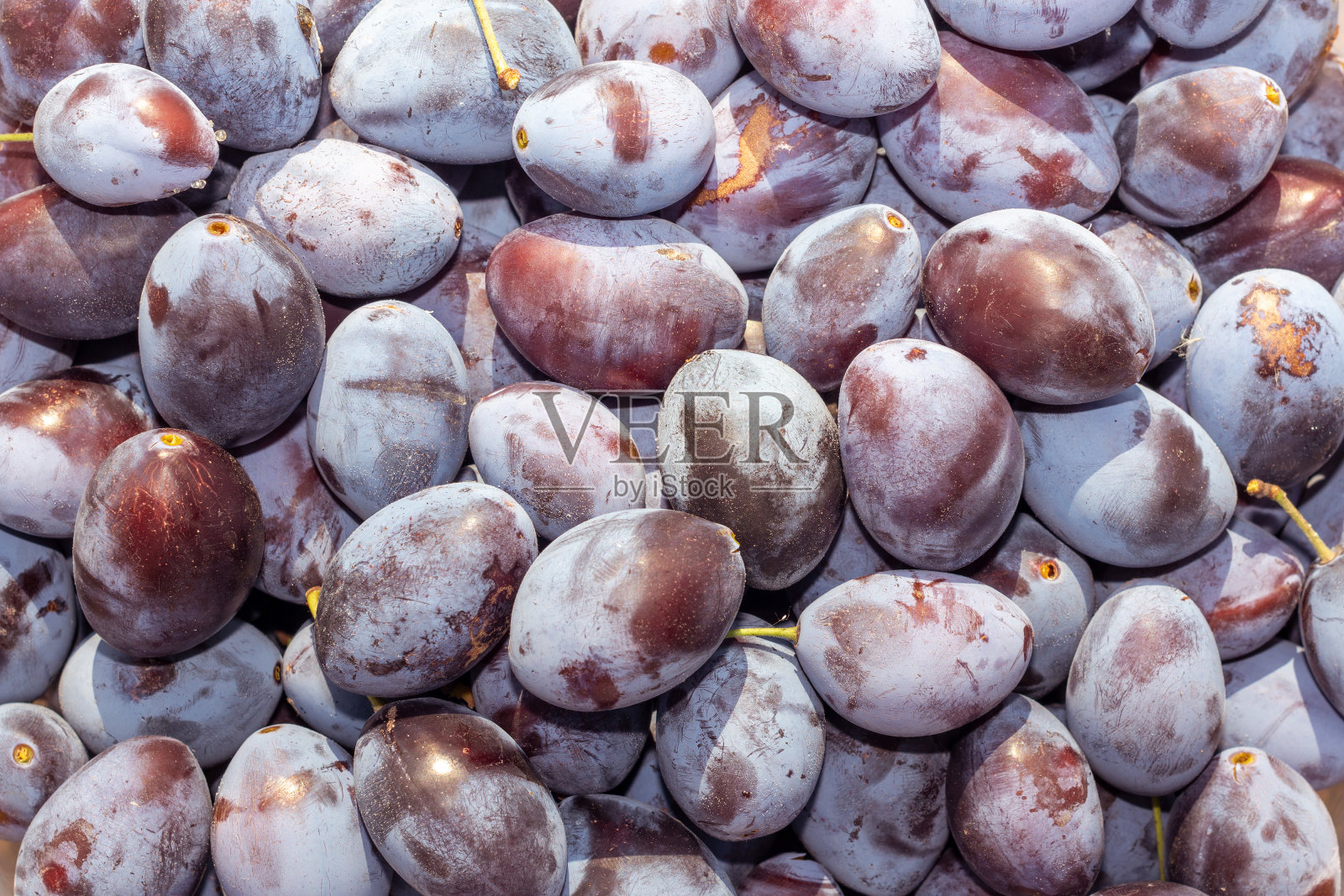 蓝熟李子背景纹理。宏观照片。收获的概念照片摄影图片