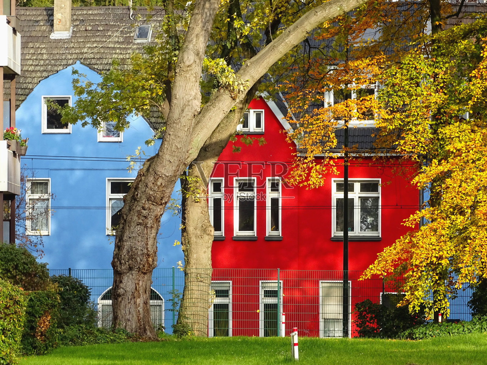 色彩斑斓的秋天照片摄影图片