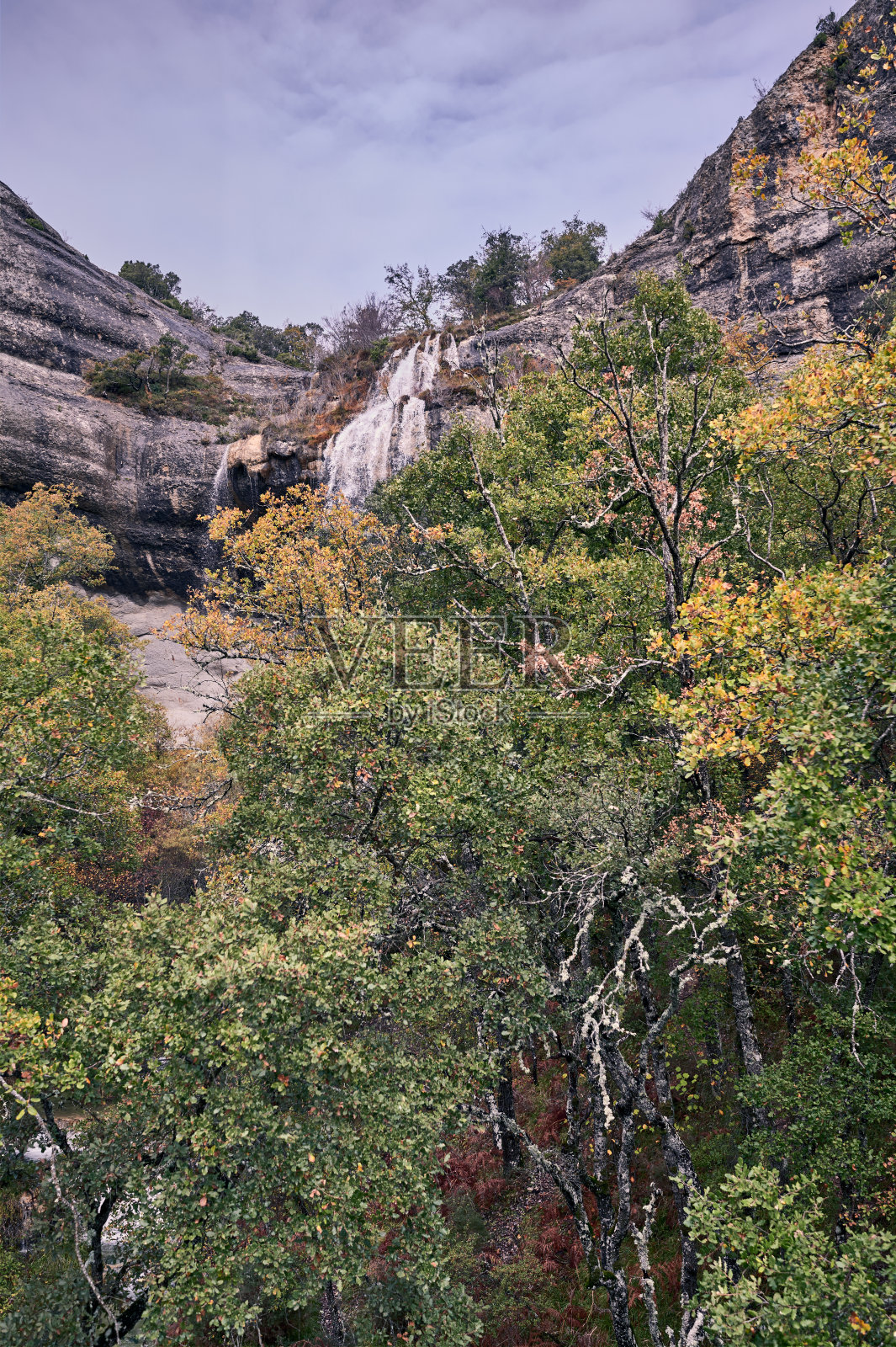 开阔的视野瀑布之间的树木和悬崖。照片摄影图片
