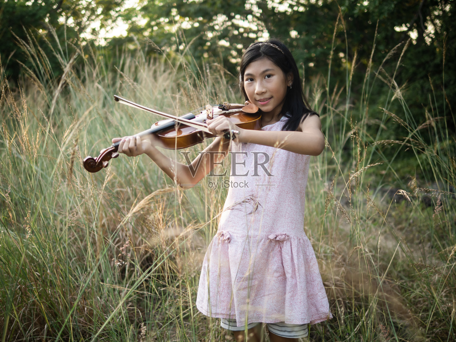 一个亚洲女孩在阳光下的草地上拉小提琴。照片摄影图片