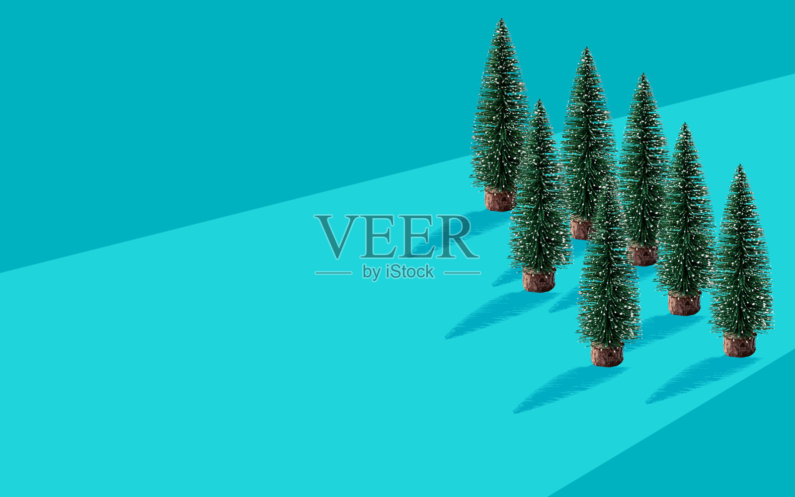 圣诞树与阴影在浅蓝色两种色调的背景。艺术品最小插图粉彩设计新年，圣诞节或特别的日子和文字空间。照片摄影图片