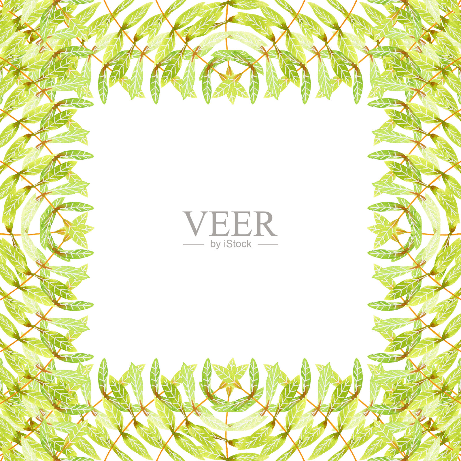 观赏水彩框架与绿色的叶子插画图片素材