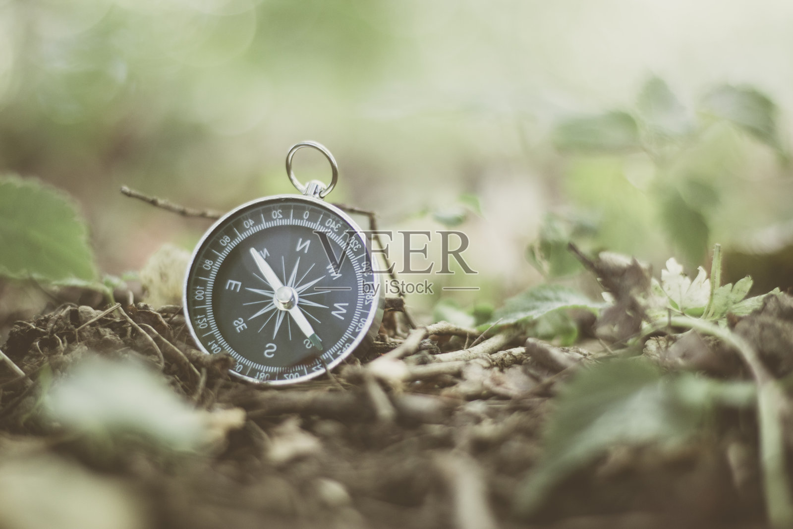 探险:指南针躺在干燥的地板上，指示方向照片摄影图片