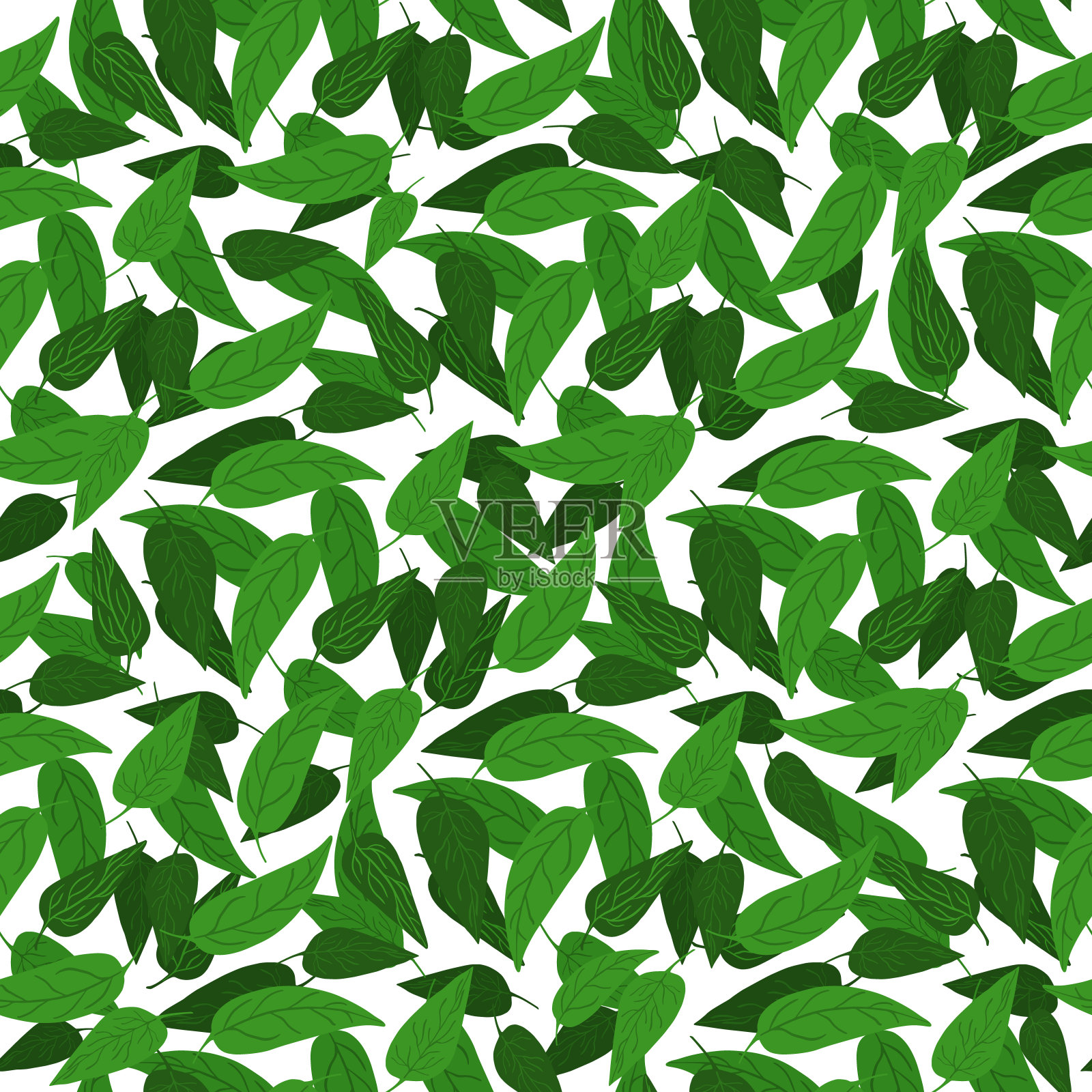 绿色gorest叶子无缝图案上的白色背景。插画图片素材