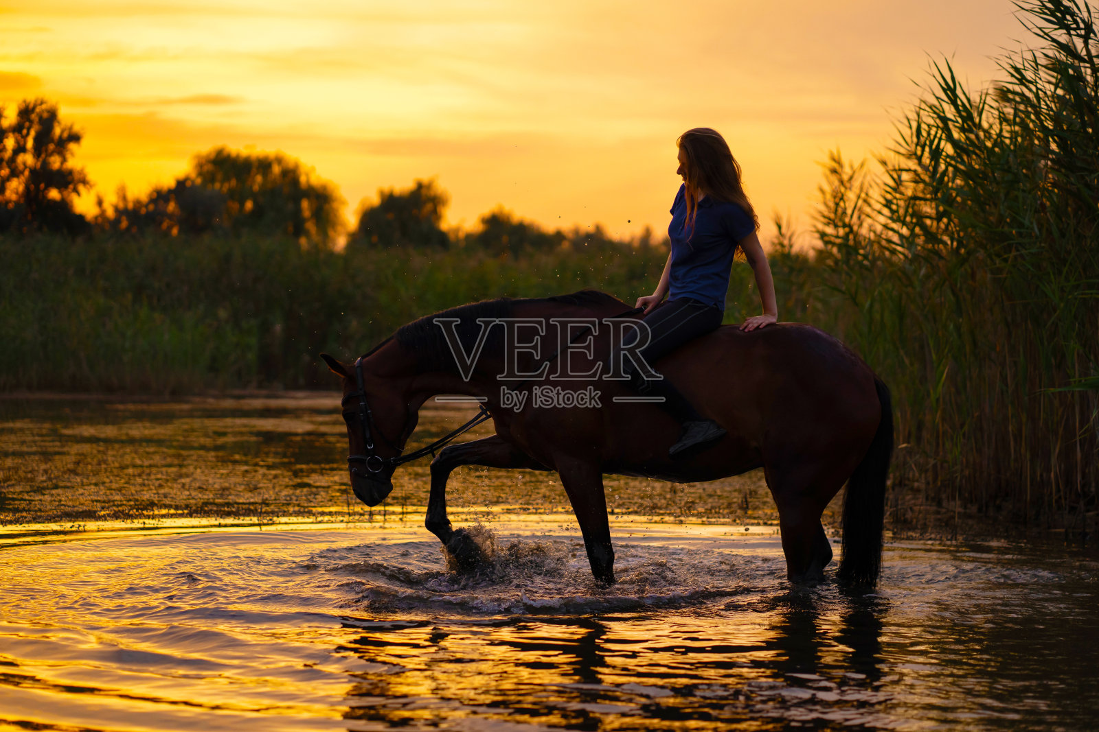 夕阳西下，一个身材苗条的姑娘骑在马上。一匹马站在湖里。小心和马一起散步。的力量和美丽照片摄影图片