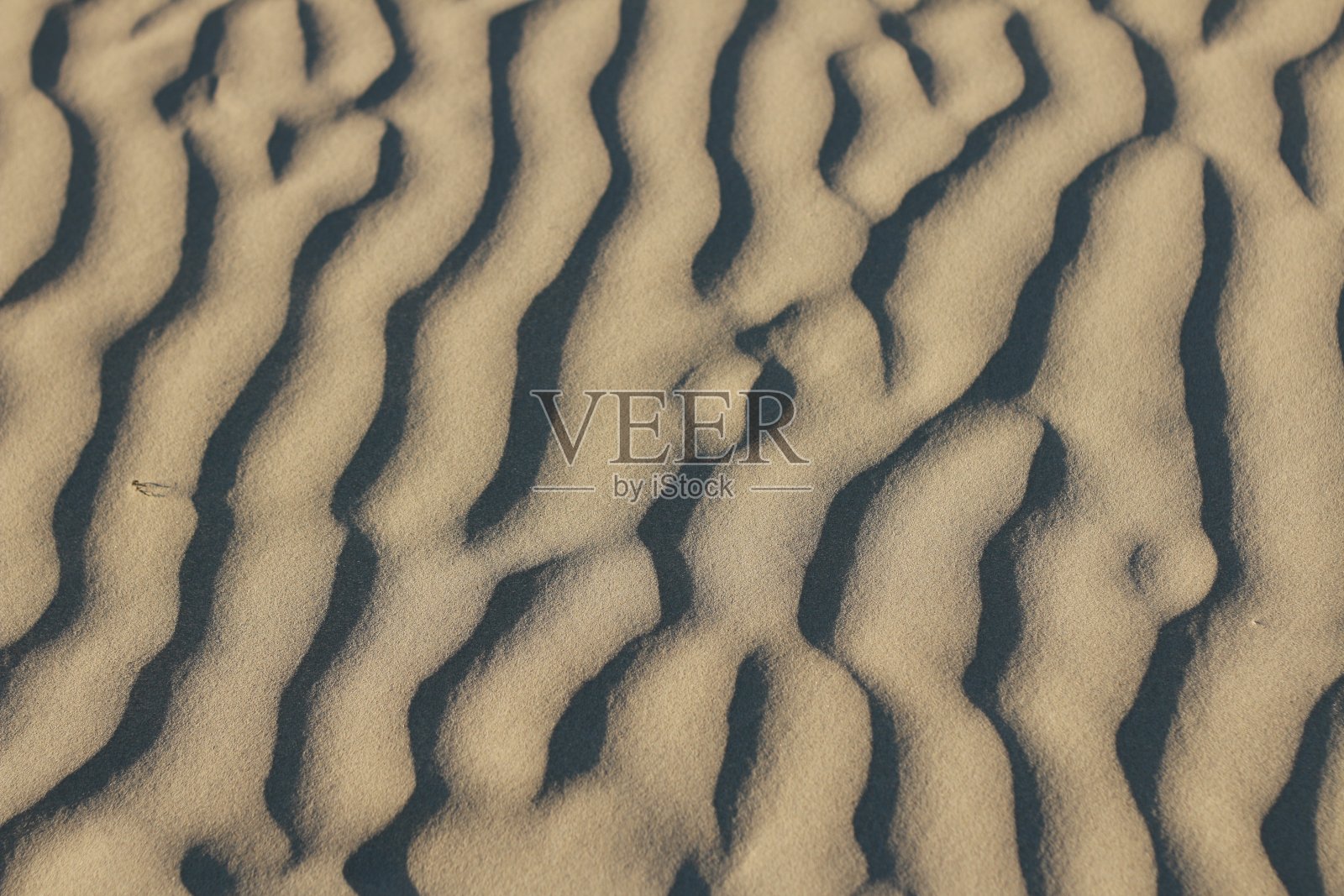 在阳光明媚的海滩上，风吹沙丘的纹理自然模式照片摄影图片