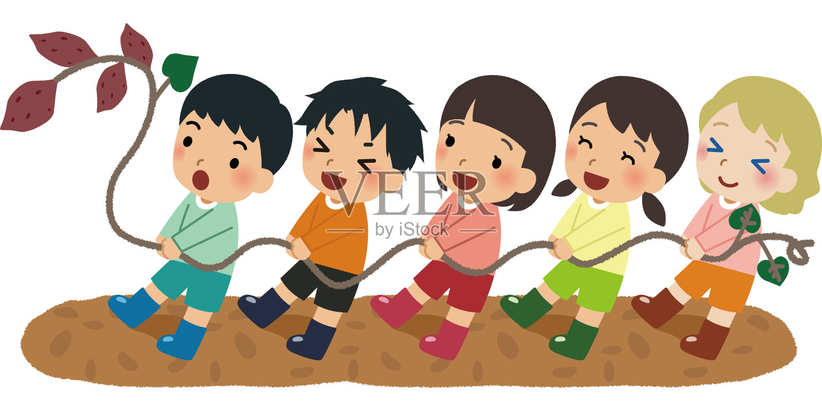 冬青插画图片素材