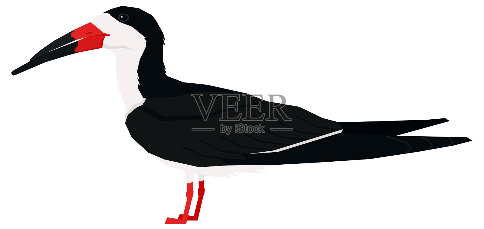 黑色掠鸟矢量插图孤立对象设计元素图片