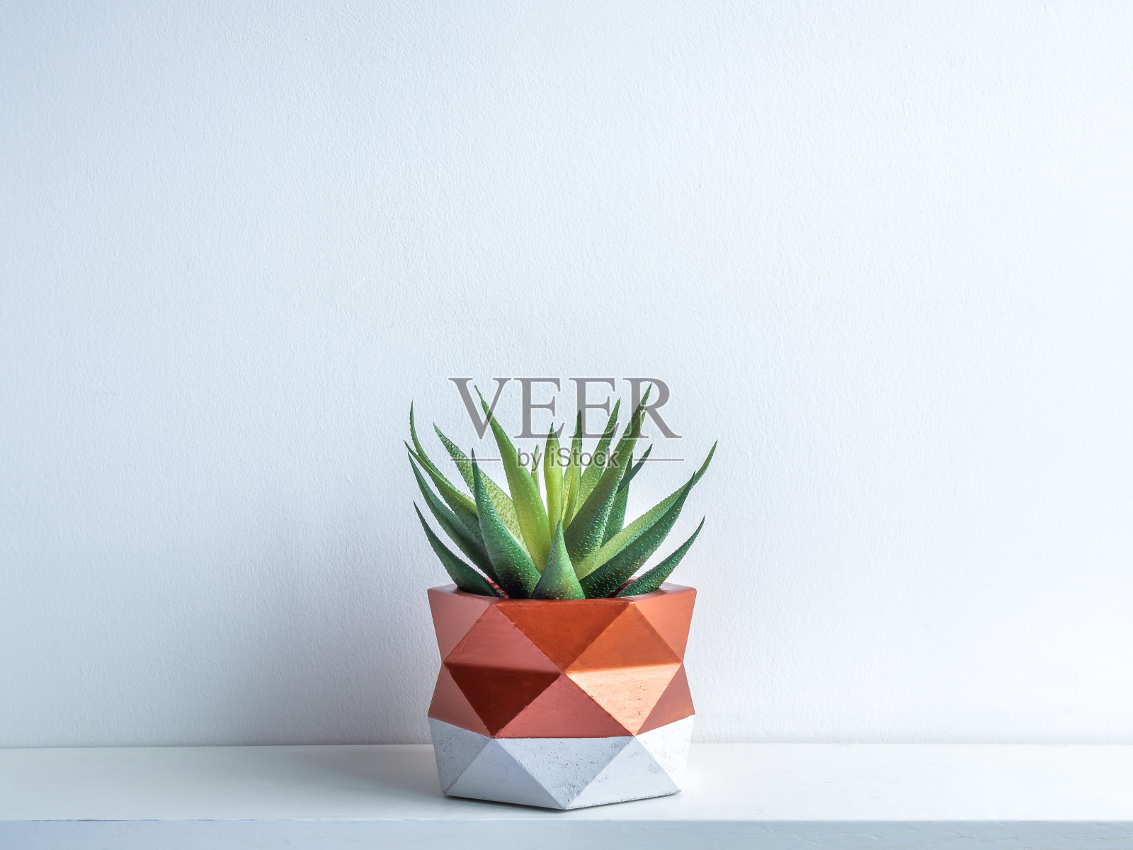 仙人掌花盆。混凝土花盆。现代几何混凝土花盆。照片摄影图片