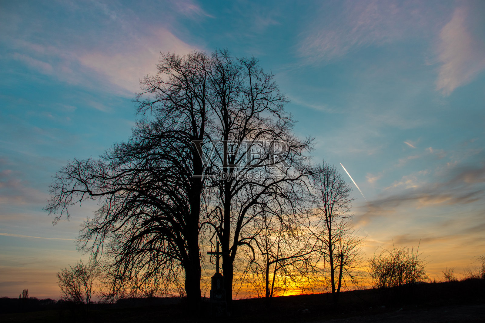 春天的日落和树木的对称照片摄影图片