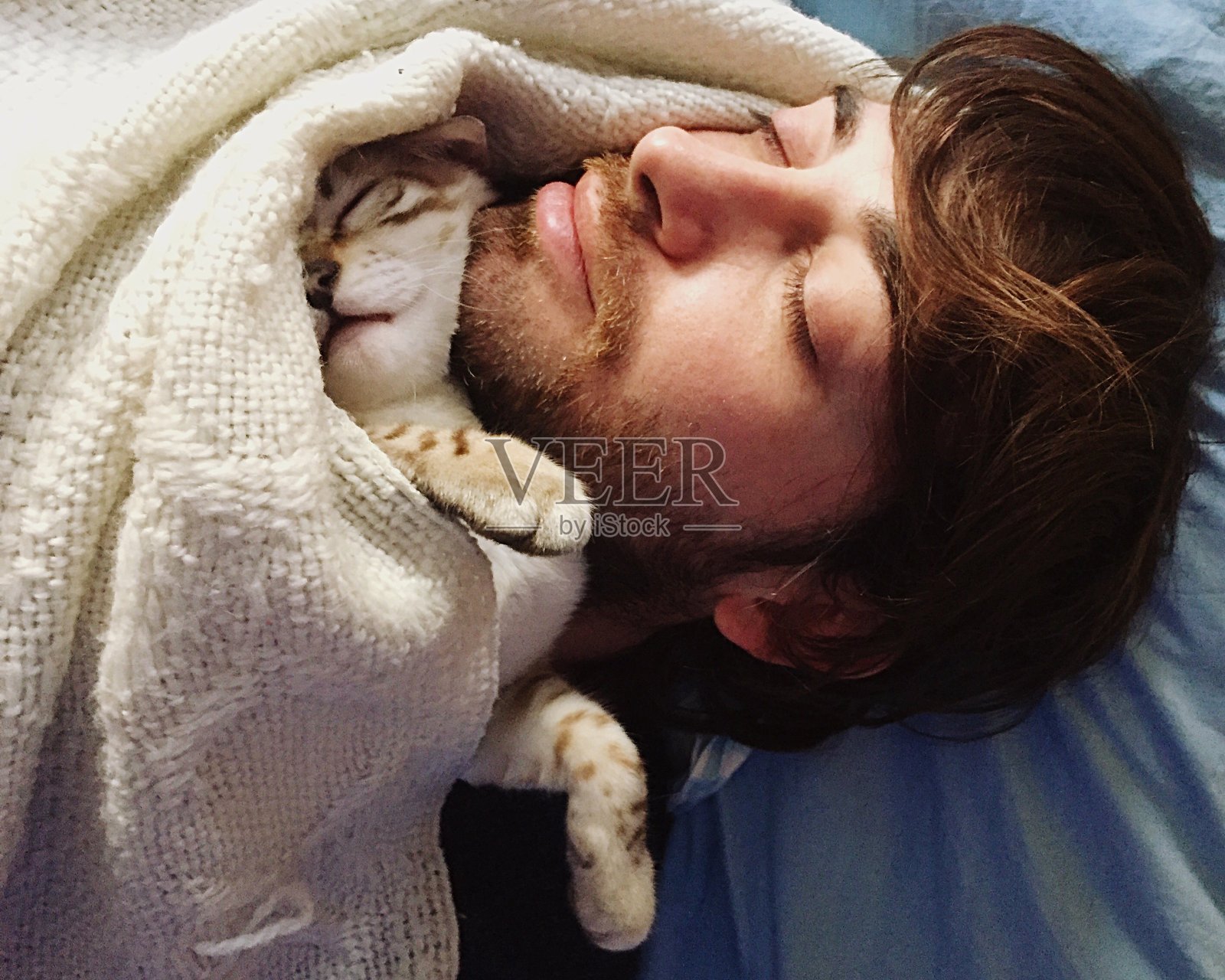 猫和他的主人睡觉照片摄影图片