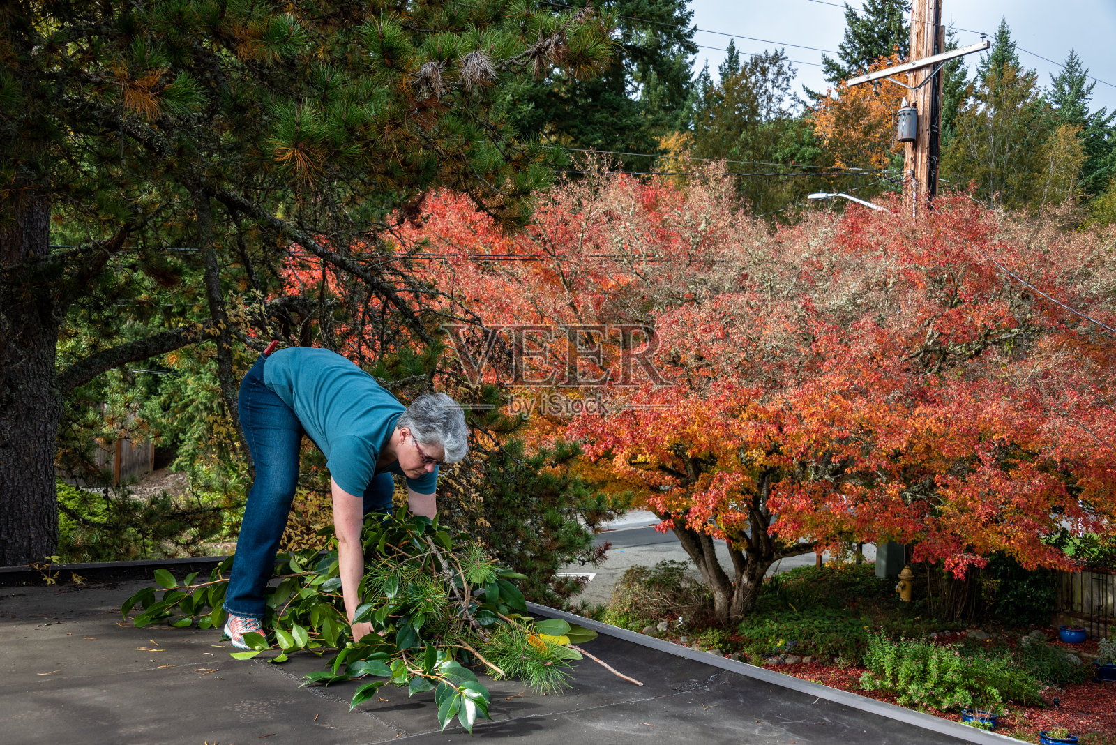秋天清理照片摄影图片