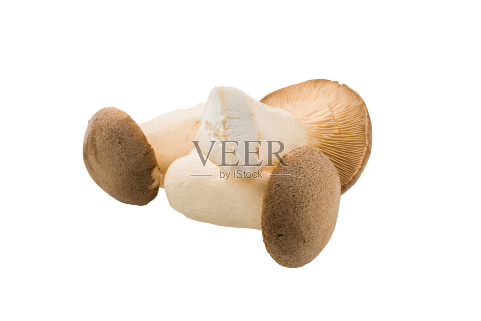 在白色背景上分离的Eringi蘑菇。照片摄影图片