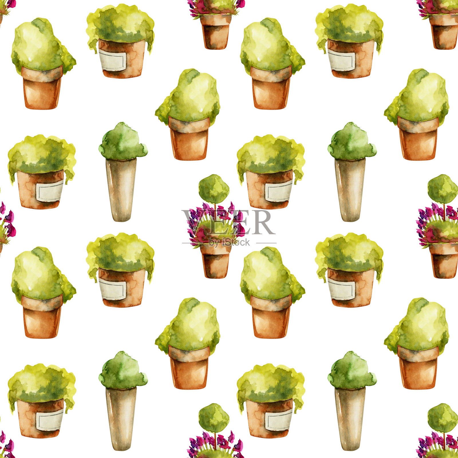 无缝水彩植物在陶罐，手工绘制孤立在白色背景插画图片素材