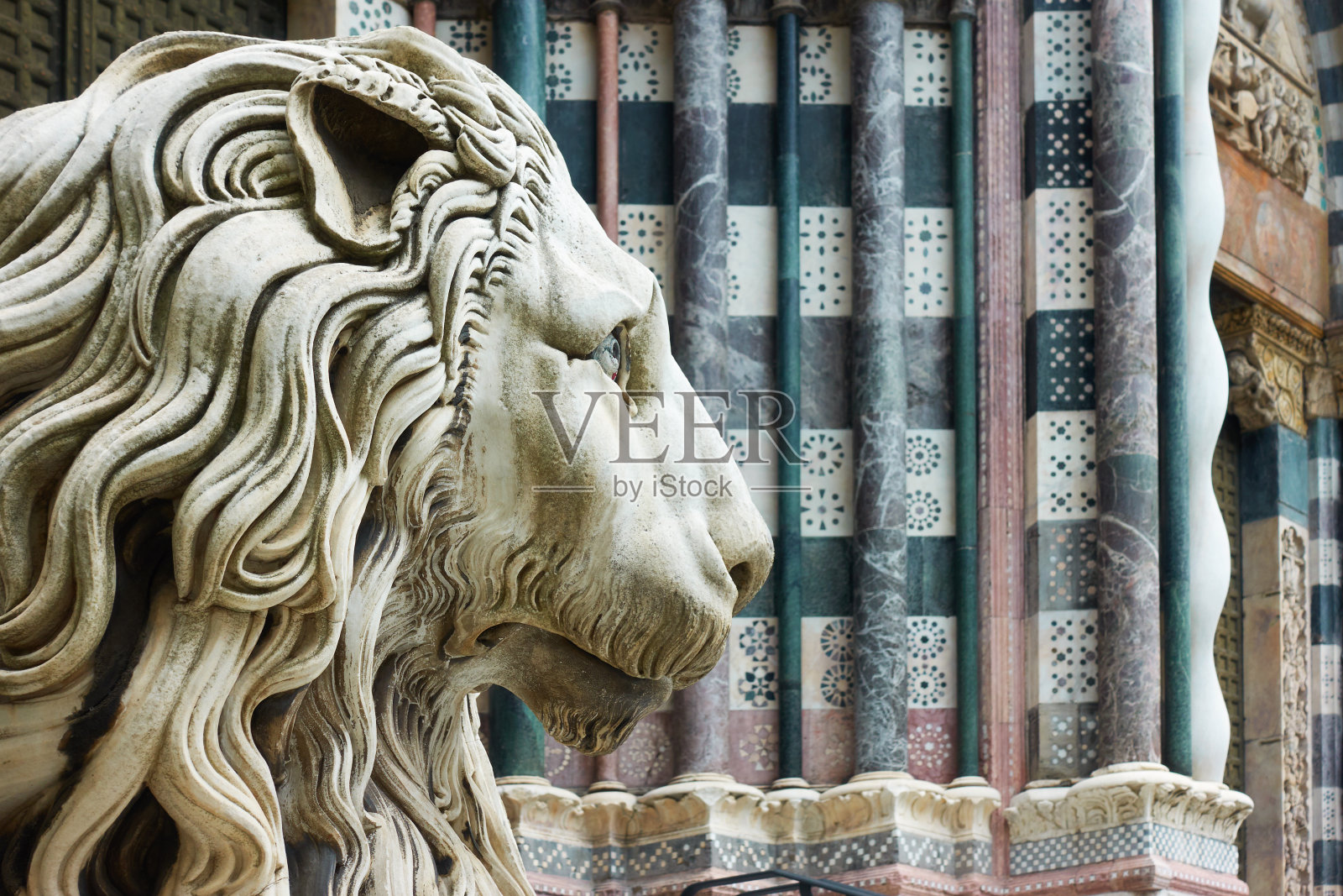 大理石狮子的头照片摄影图片