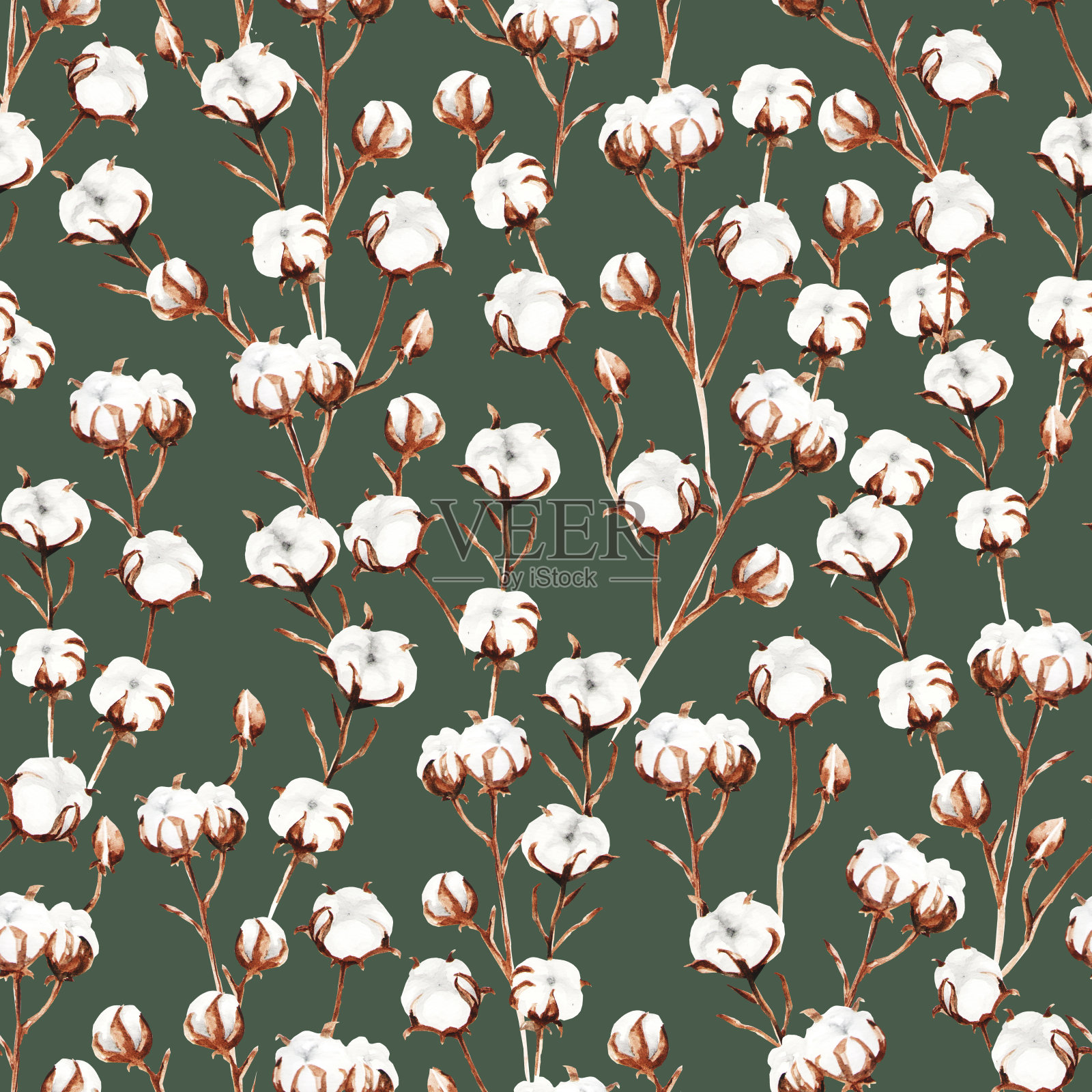 无缝图案水彩棉花枝，手绘。插画图片素材