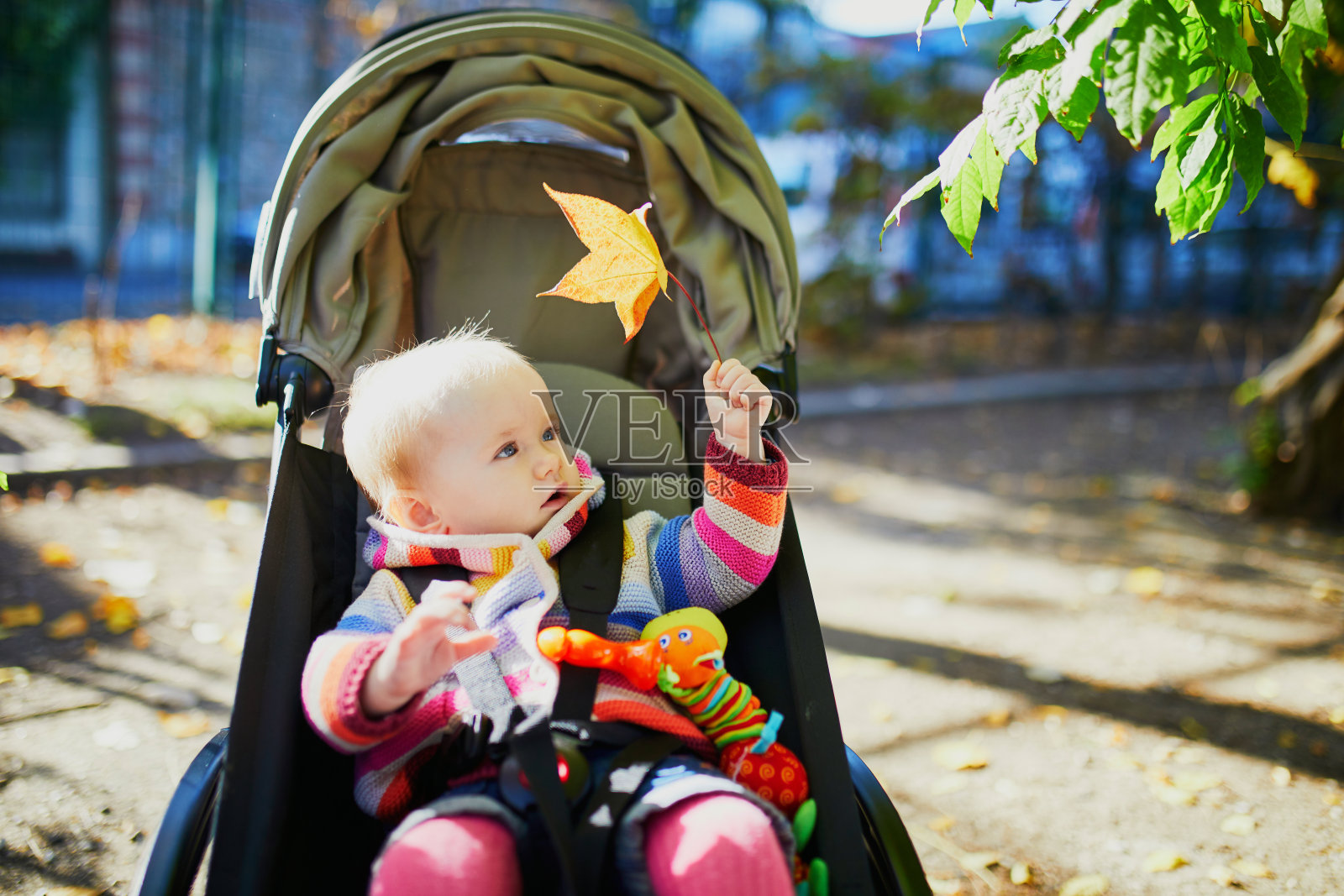 秋天的一天，女孩穿着鲜艳时髦的衣服坐在户外的婴儿车里照片摄影图片