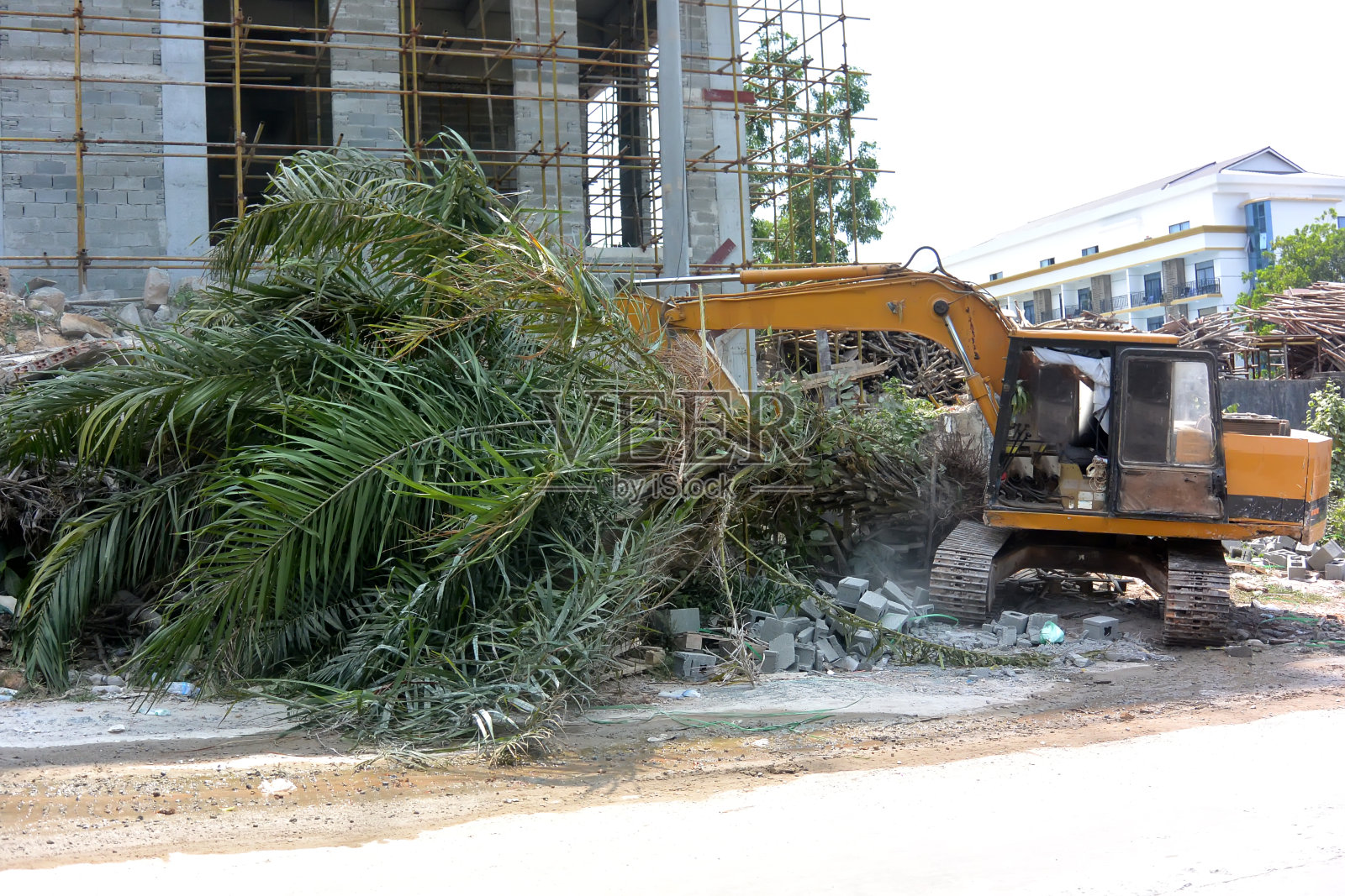 黄色挖掘机破坏一棵活棕榈树照片摄影图片