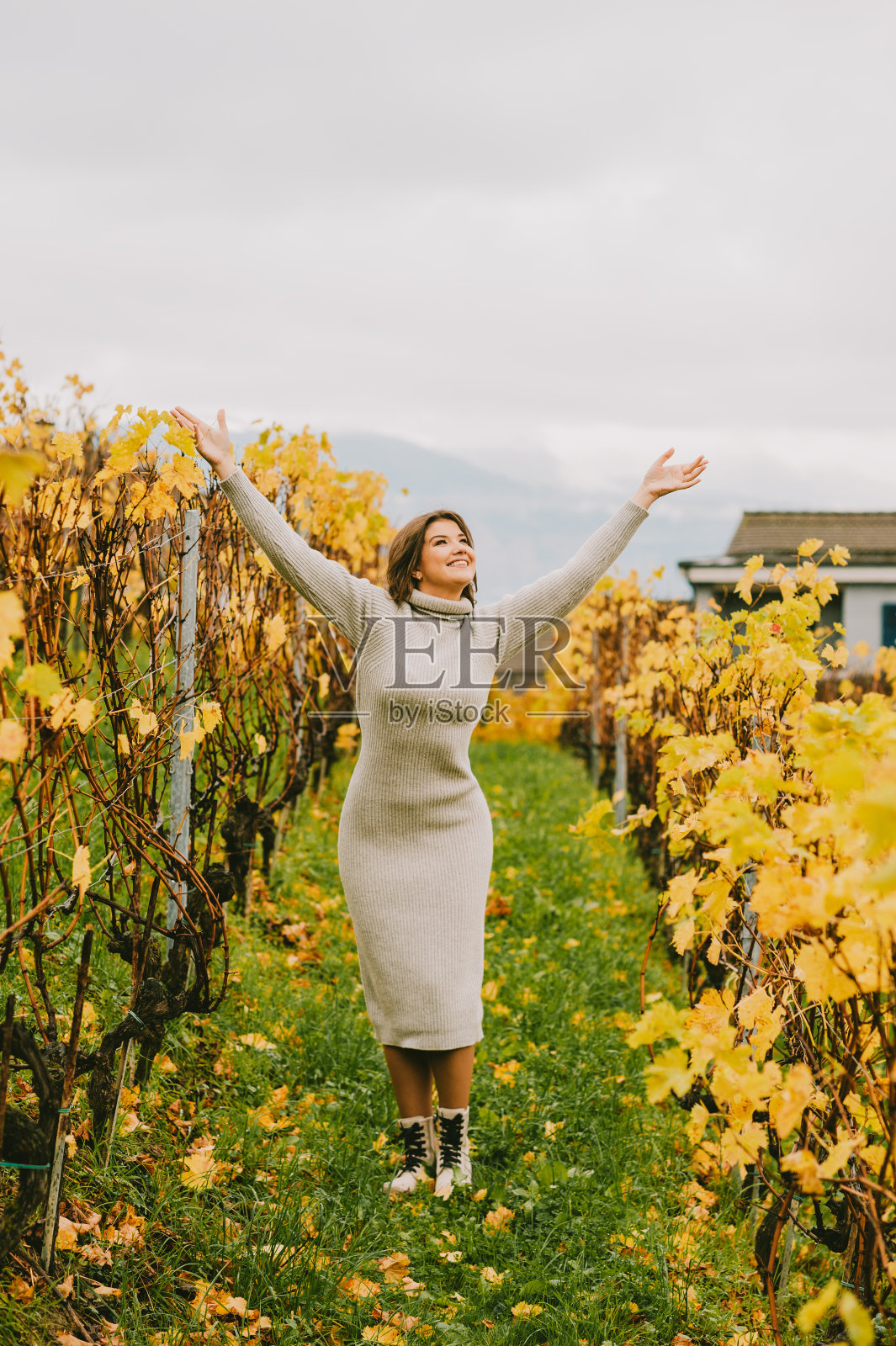 秋天的快乐的年轻女子享受美好的日子在葡萄园，穿着灰色针织连衣裙，双臂张开照片摄影图片