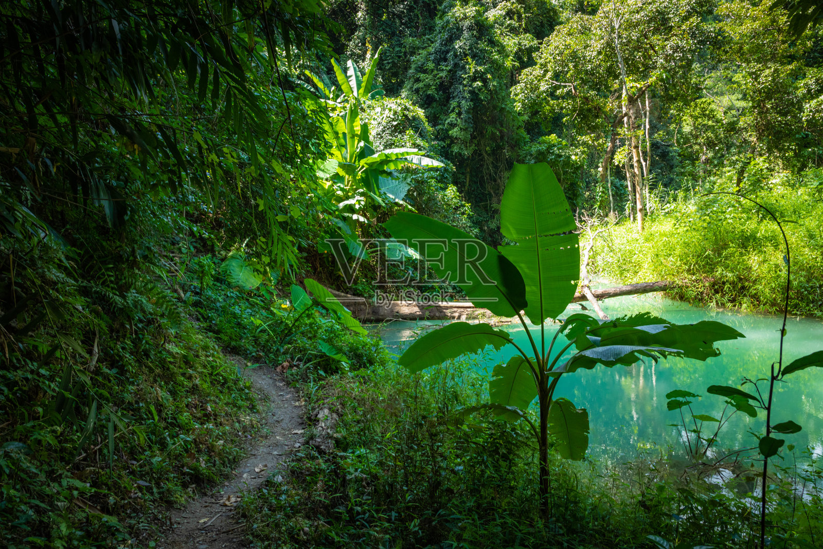 老挝琅勃拉邦省的塔德赛瀑布。照片摄影图片