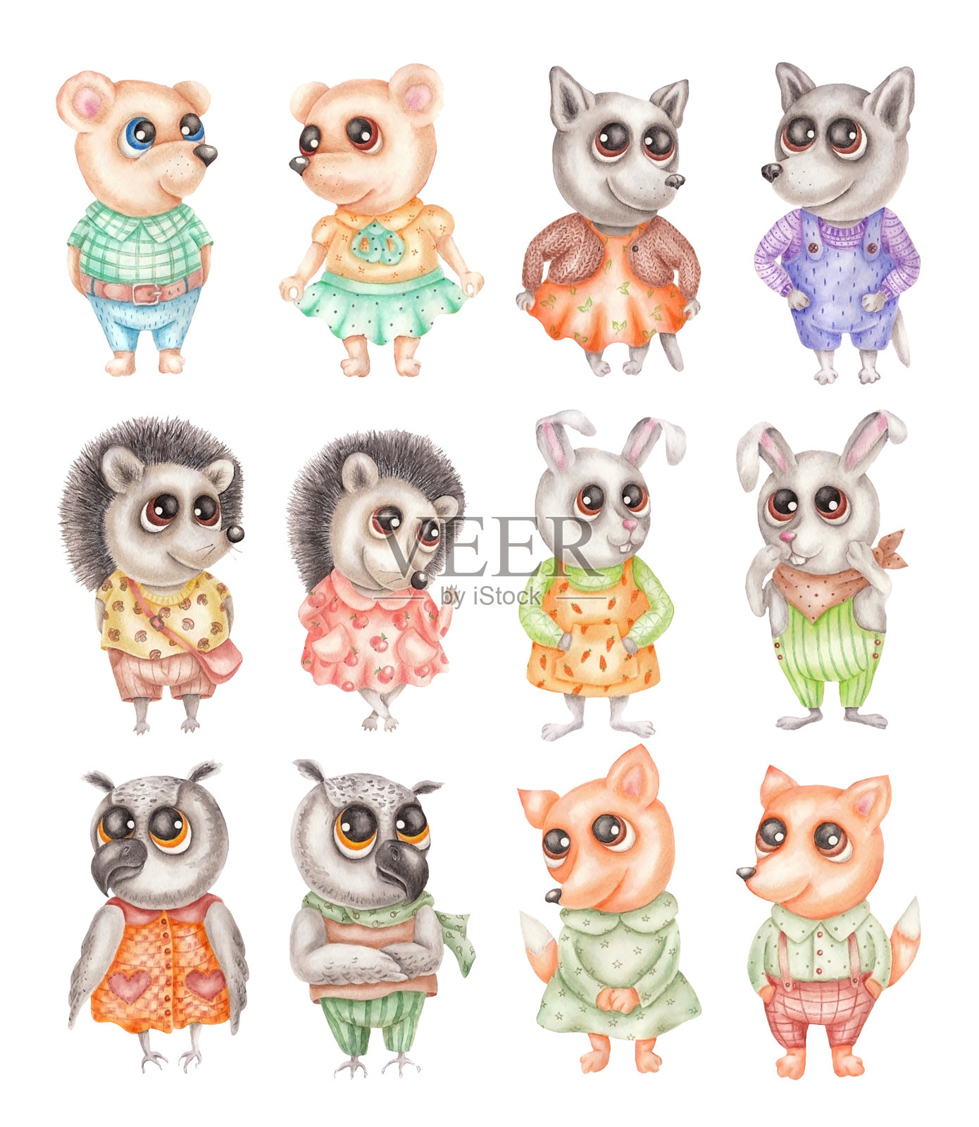 森林animals.jpg插画图片素材