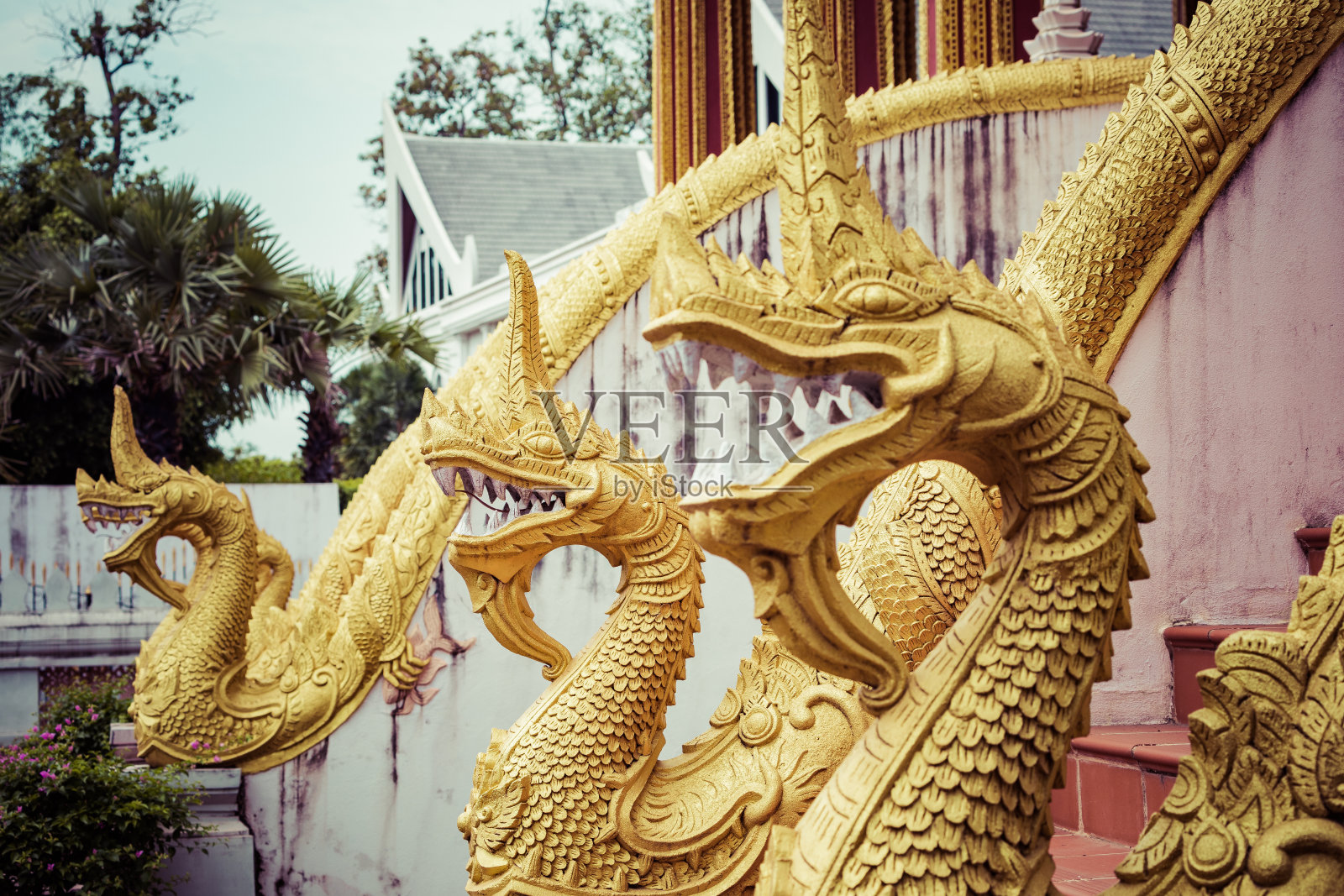 龙雕像在Haw Phra Kaew，也写为Ho Prakeo, Hor Pha Keo，老挝万象。照片摄影图片