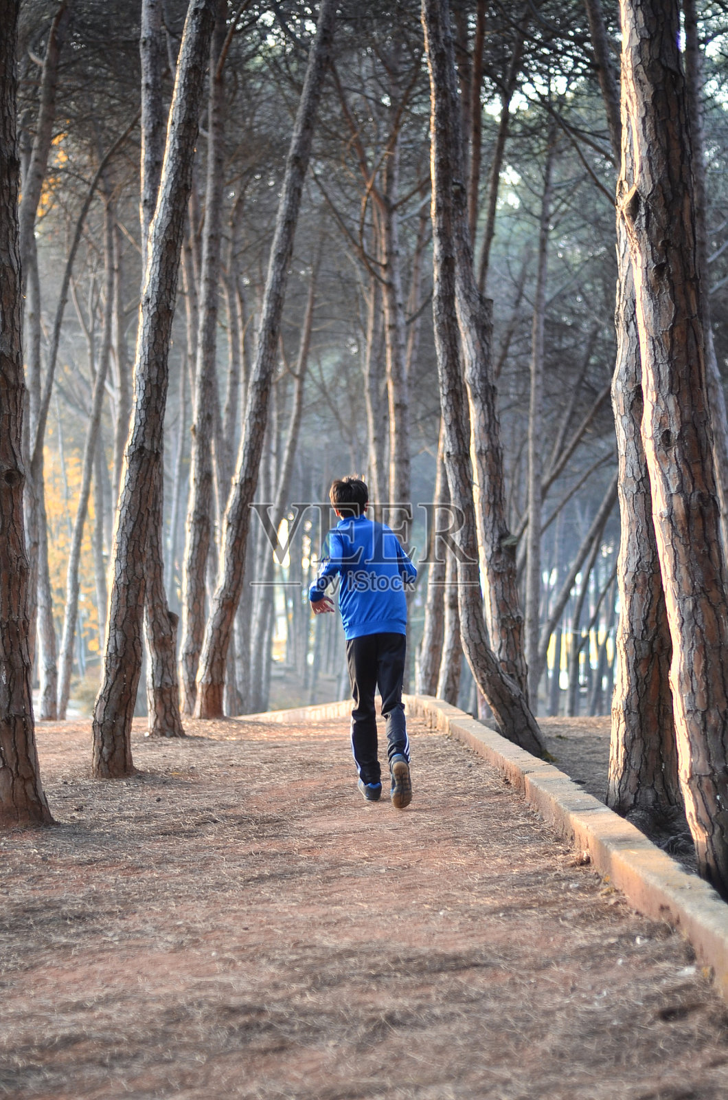 一个年轻人在森林里慢跑照片摄影图片