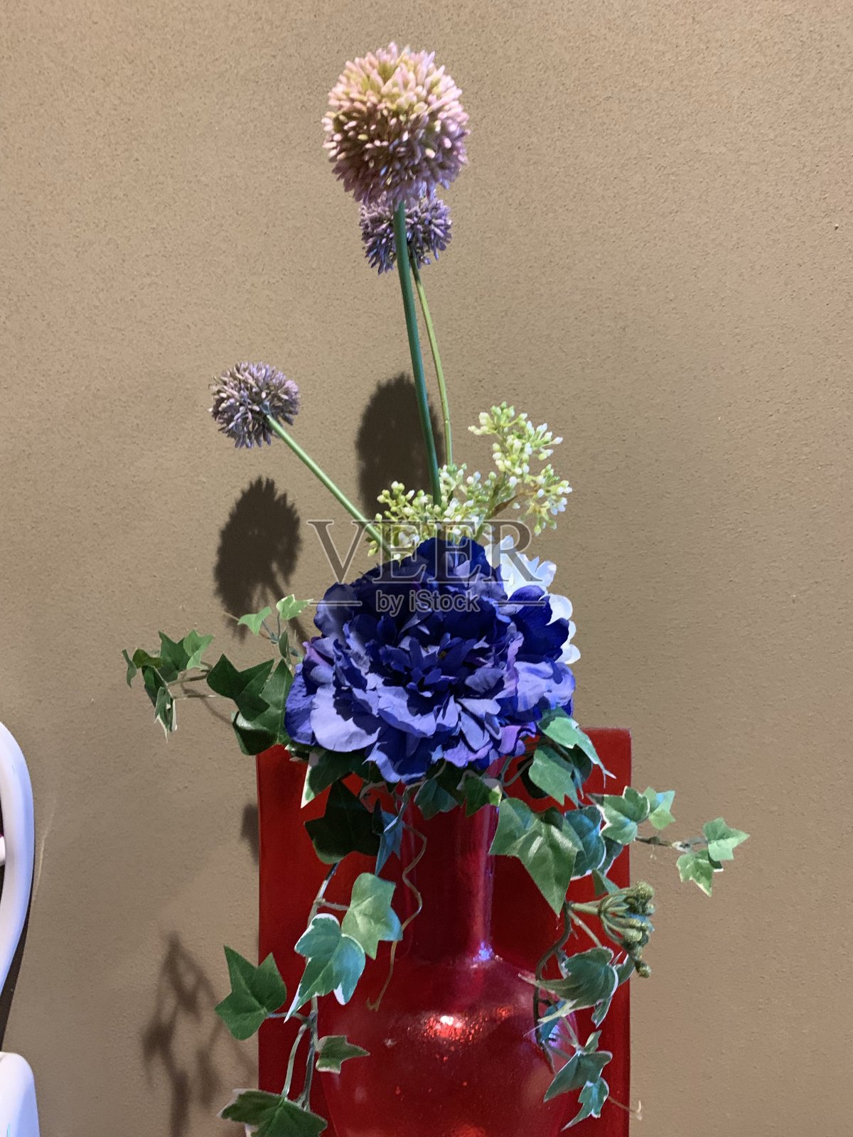 花照片摄影图片