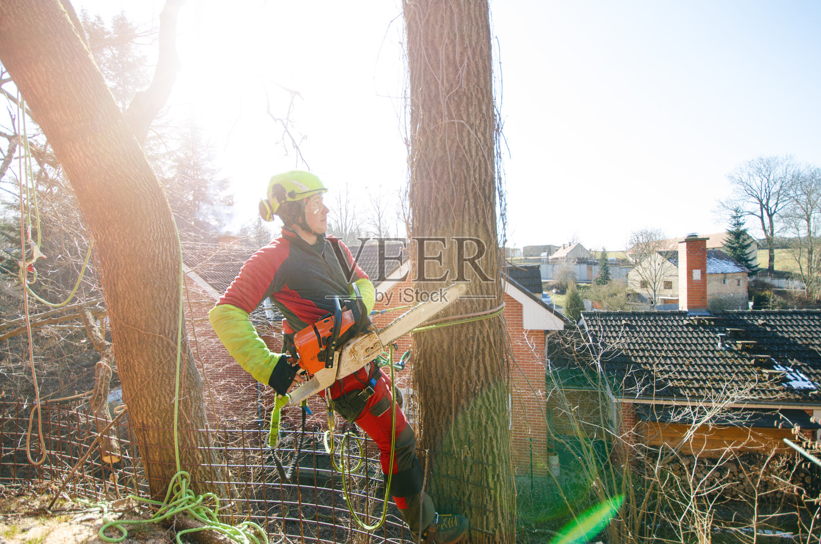 树木学家用电锯砍树枝并扔在地上。戴头盔的工人在高处的树上工作。在一个阳光明媚的日子里，伐木工人正在用链锯工作。树和自然照片摄影图片