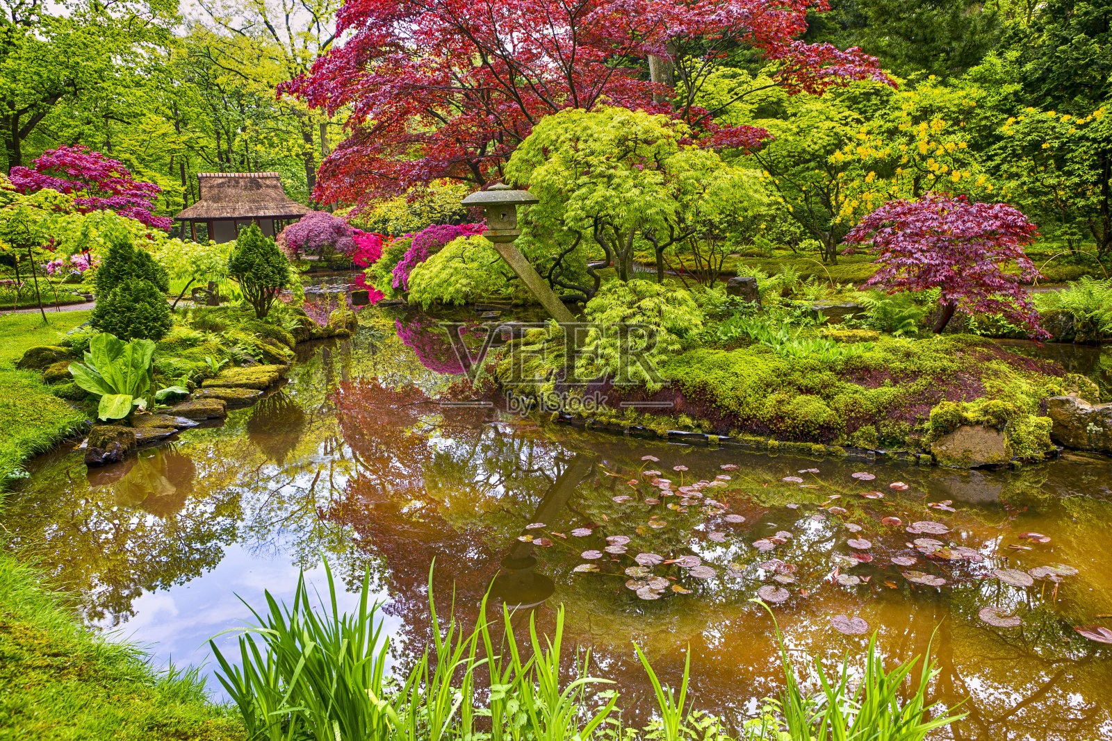 荷兰海牙(Den Haag)，雨后的日本花园。禅宗雕塑和石头的背景。水平的形象照片摄影图片