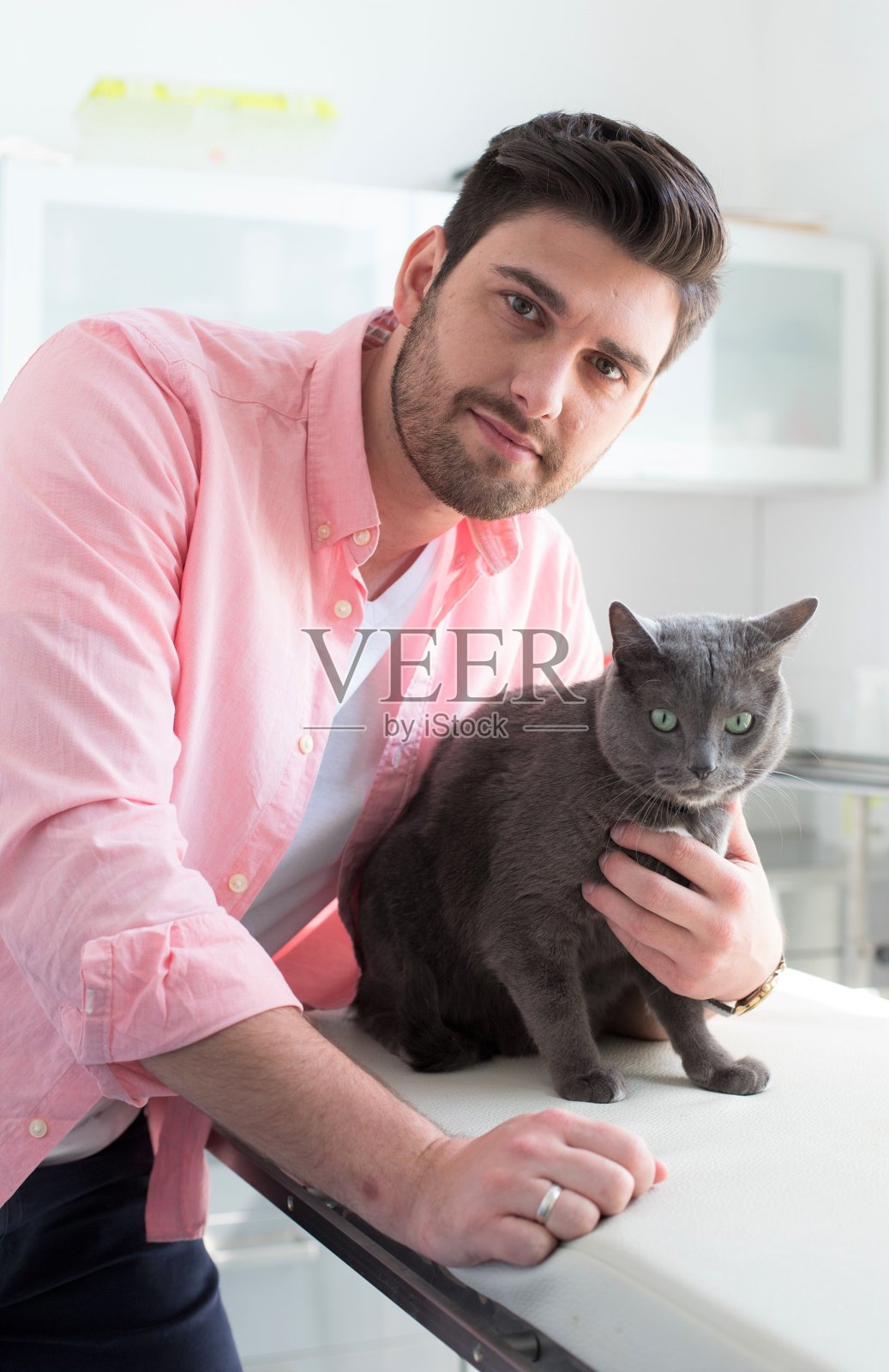 俄罗斯蓝猫和主人的肖像在诊所照片摄影图片