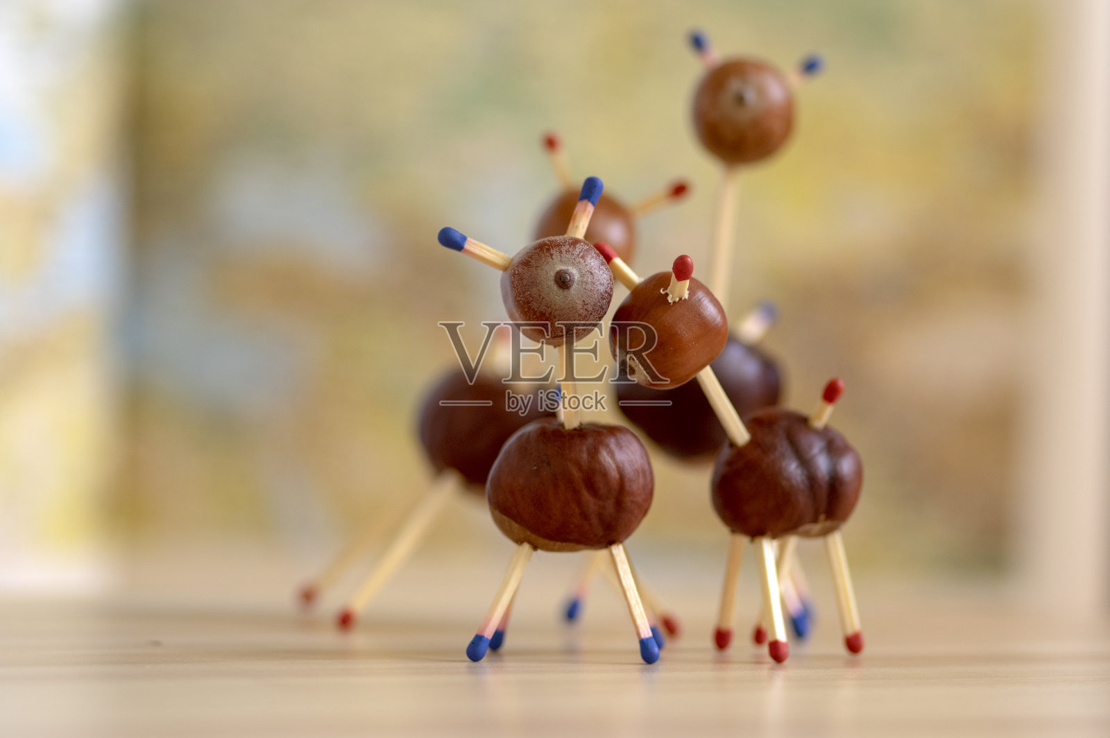 木桌上滑稽的栗子动物群，秋天的背景，传统的秋天手工，欧洲狍子与家人照片摄影图片