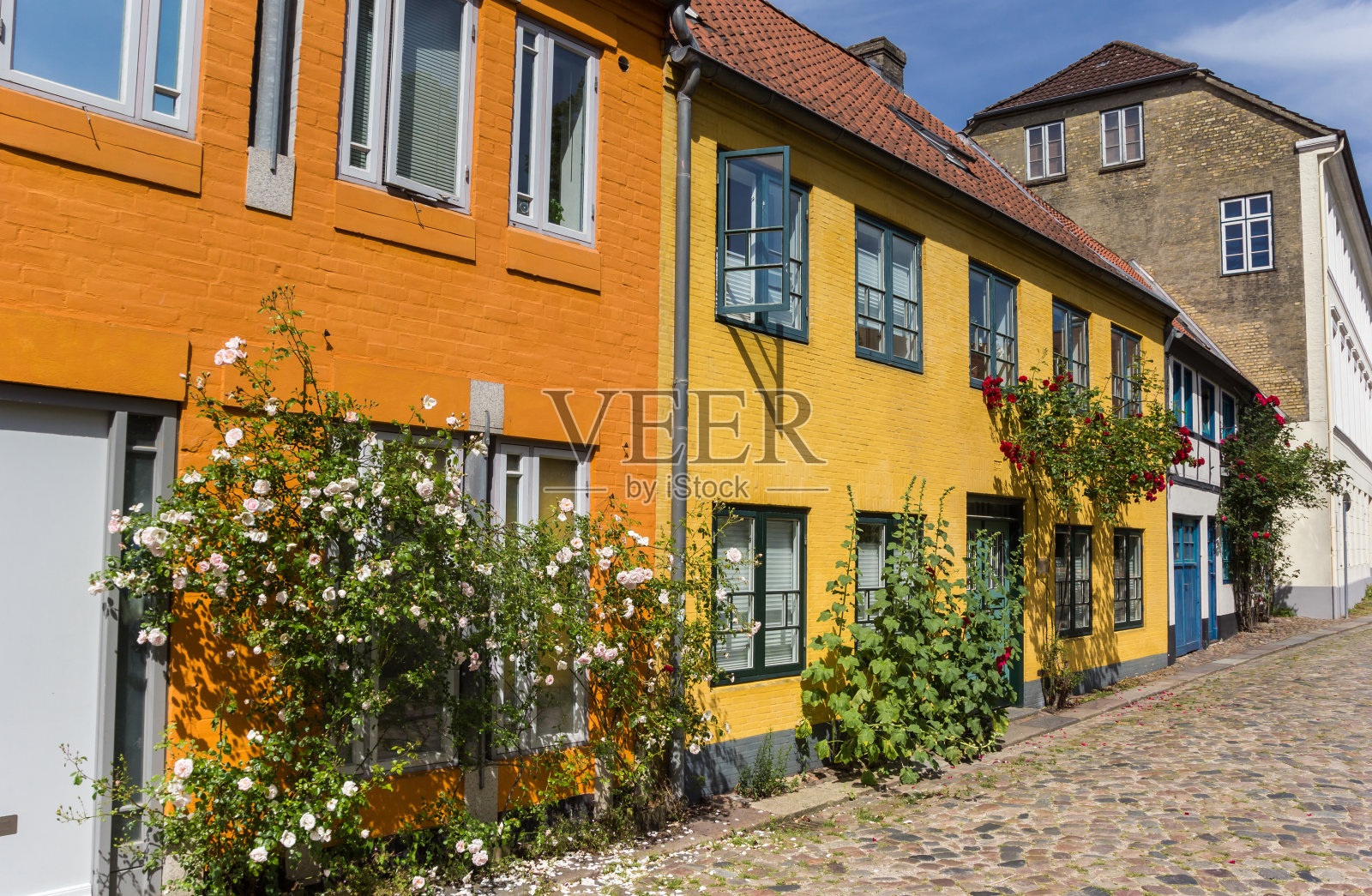 弗伦斯堡铺着鹅卵石的街道上五颜六色的房子照片摄影图片