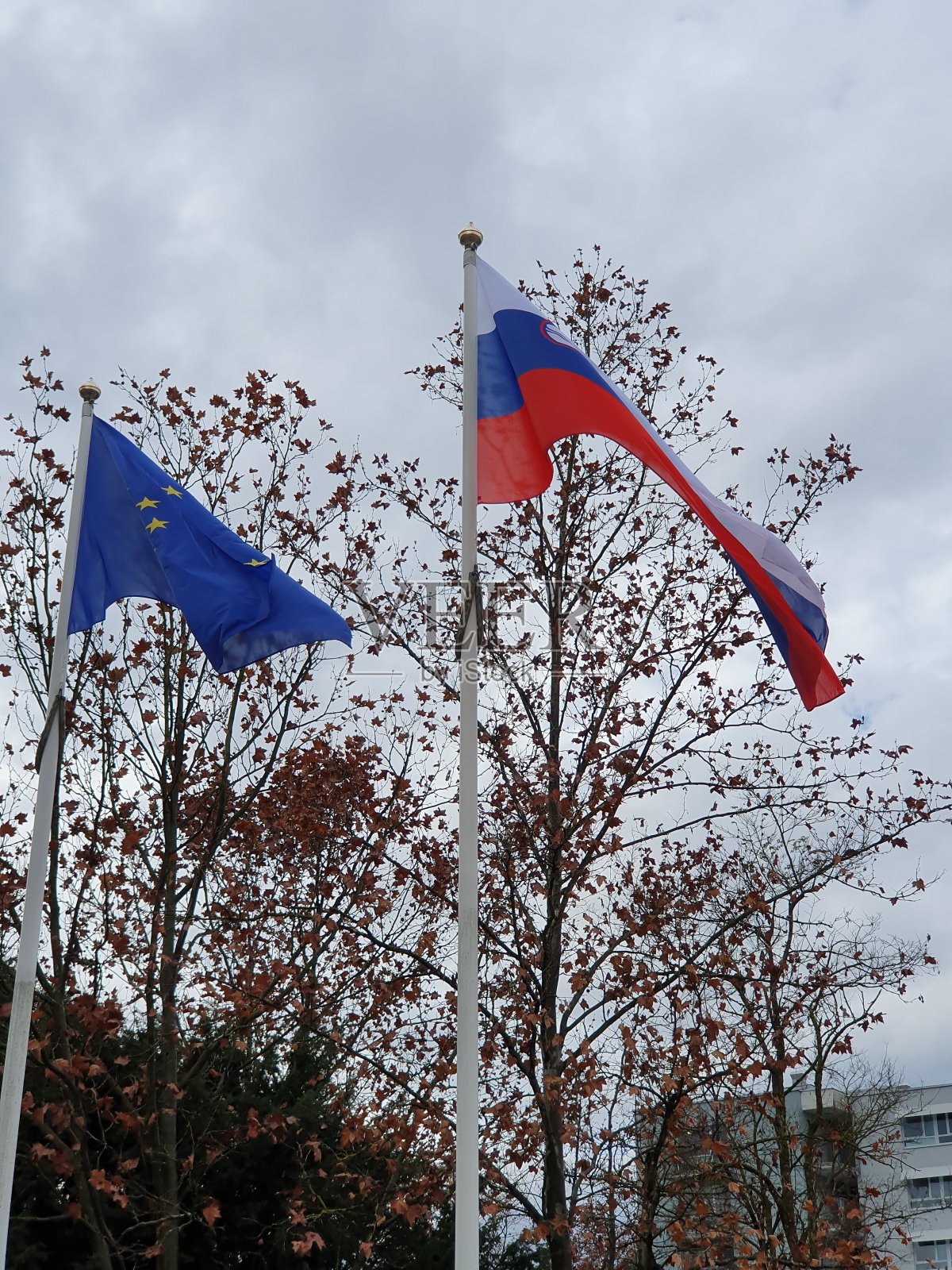 斯洛文尼亚和欧洲国旗。照片摄影图片