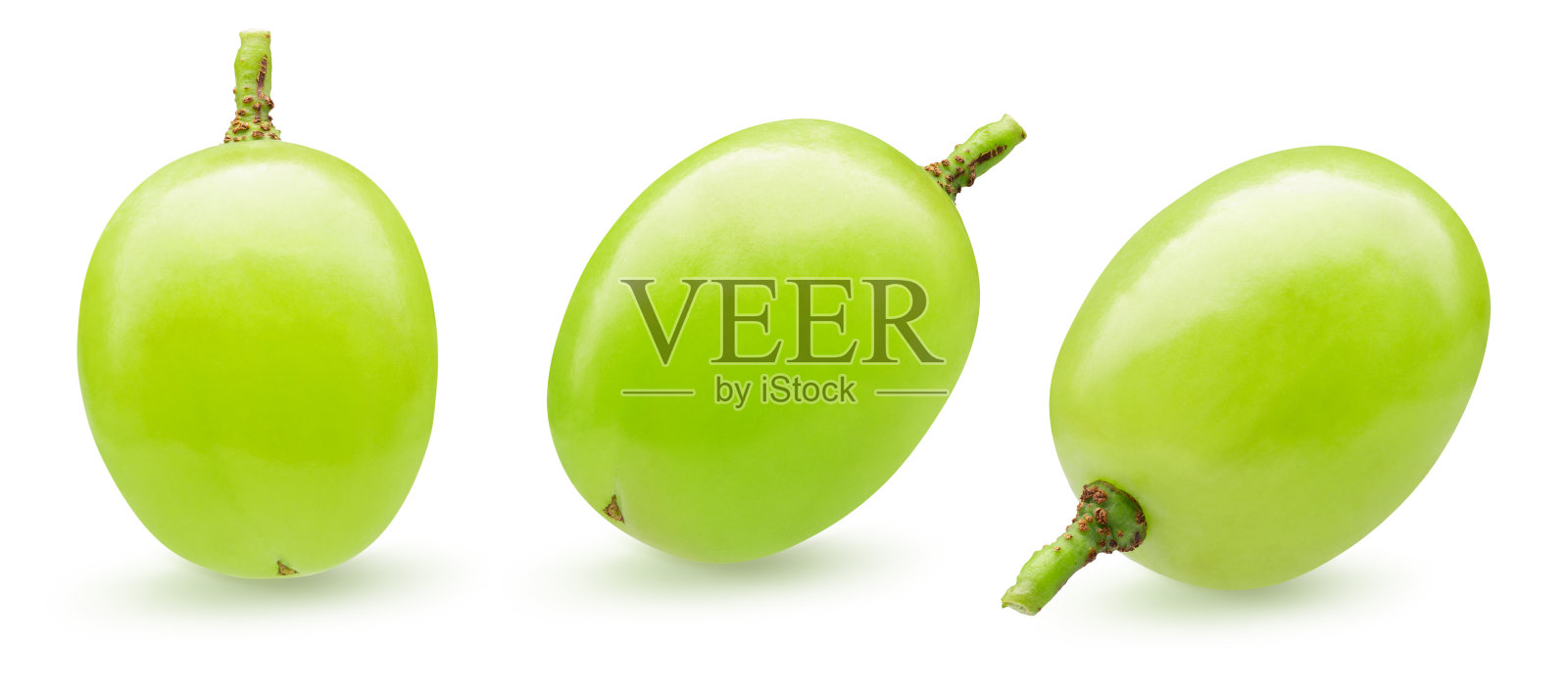 收集的绿色单葡萄孤立在白色的背景照片摄影图片