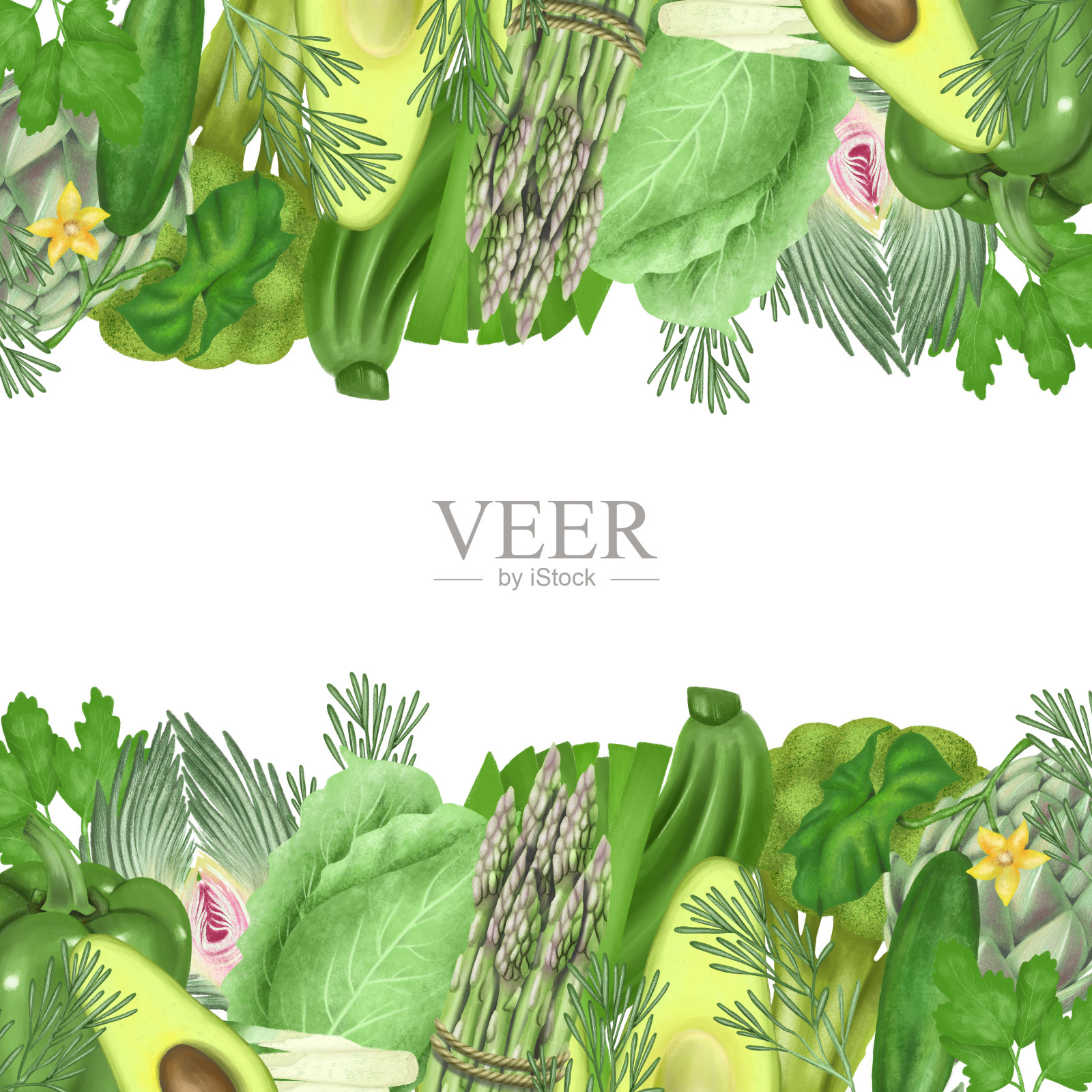 绿色健康水果和蔬菜(芦笋，朝鲜蓟，黄瓜，鳄梨，花椰菜，甜椒等)的边缘，手绘在白色的背景上插画图片素材