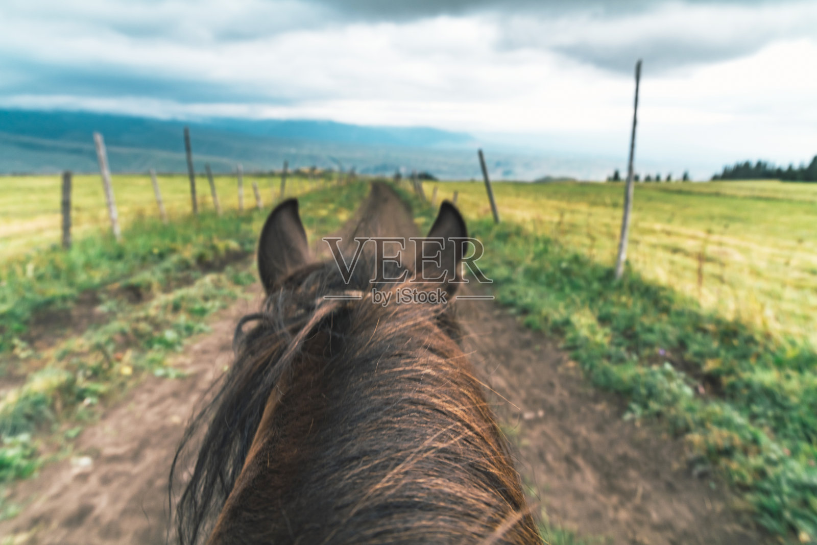 度假骑马照片摄影图片