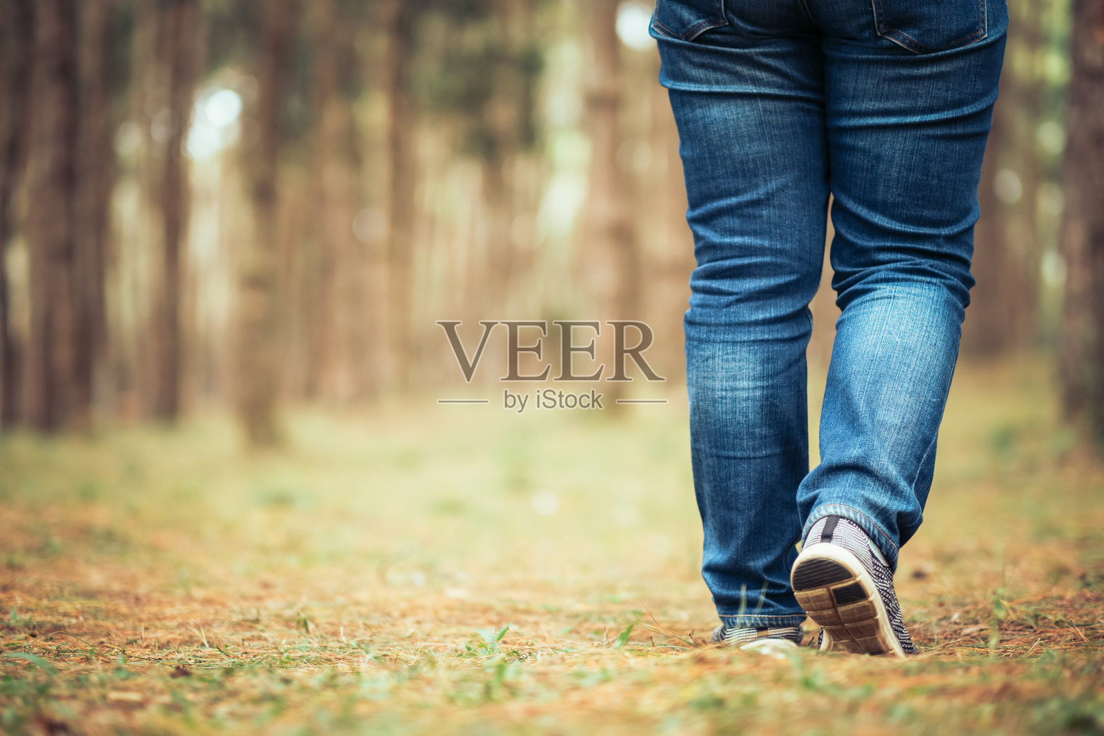 在森林中漫步照片摄影图片