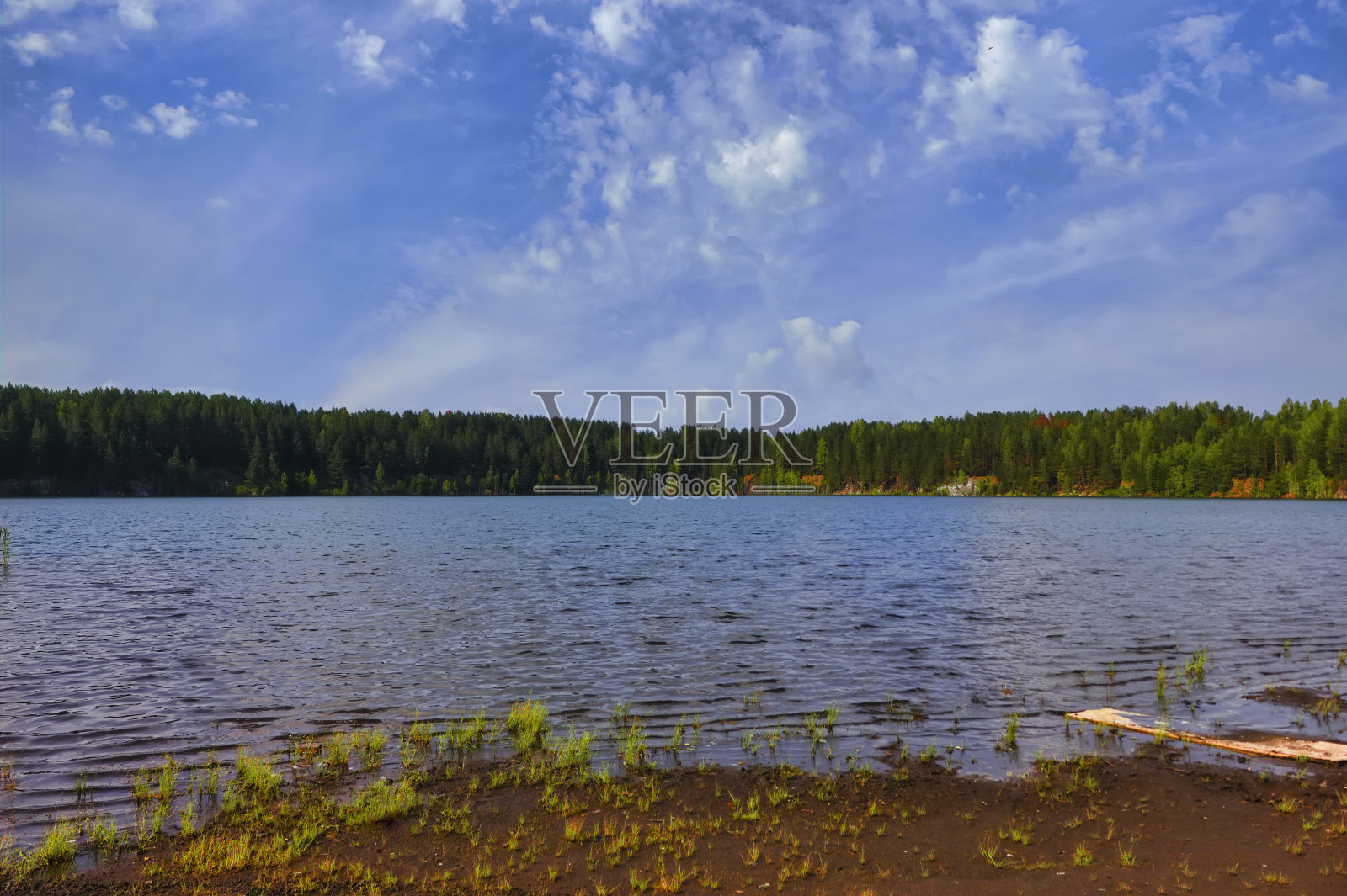 夏天的风景，在岸边的森林湖泊与清澈透明的蓝色的水。照片摄影图片