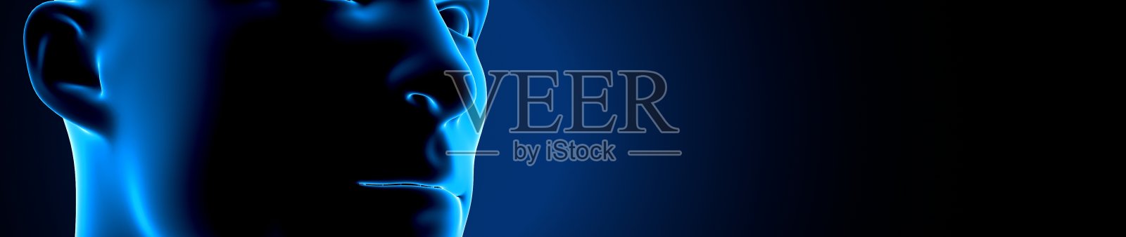 人体头部解剖系统3D图照片摄影图片