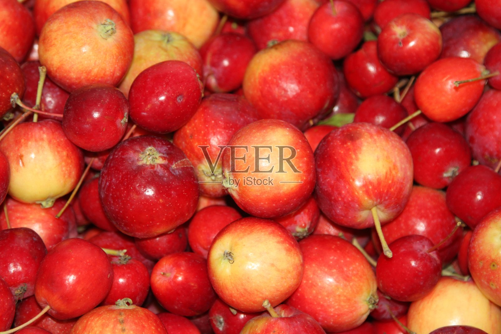 红苹果照片摄影图片