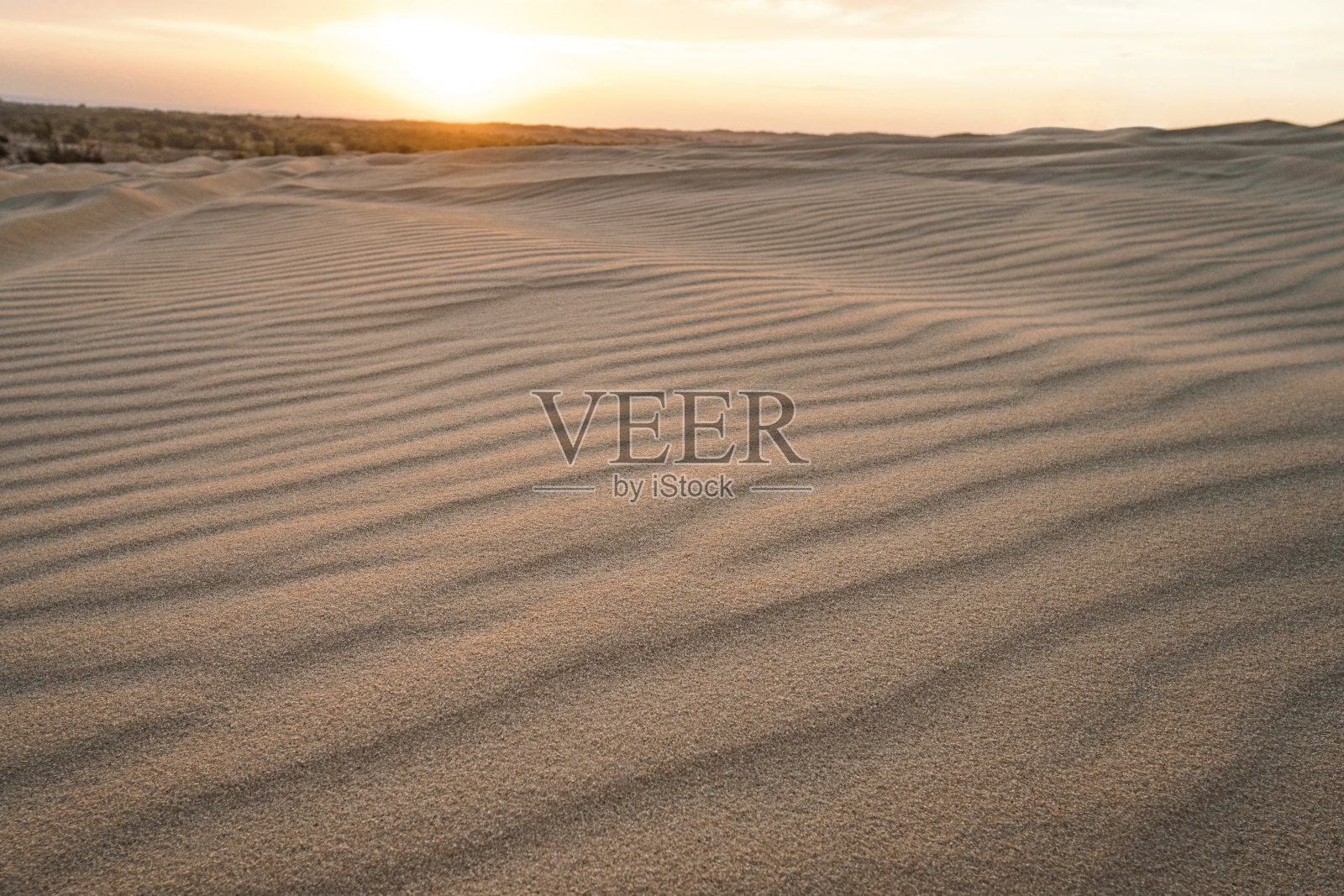 美丽的亚洲沙漠景观。黎明中越南的沙丘。日落在地平线上。照片摄影图片