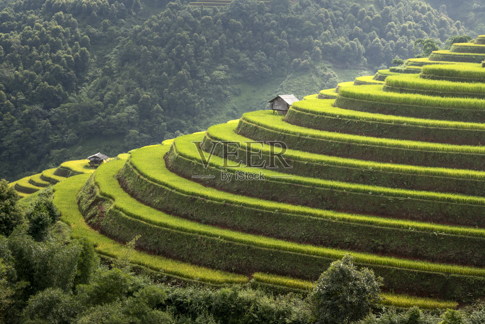 木仓寨美丽的梯田和山川景观照片摄影图片