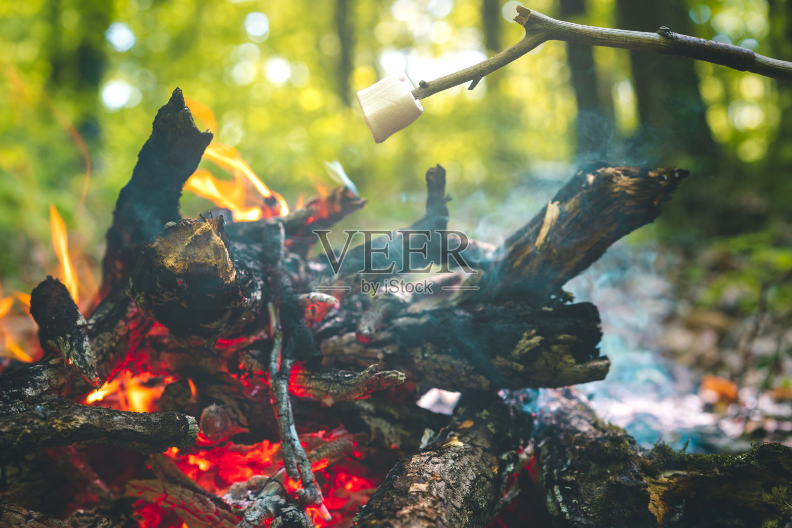 火烤murshmallows照片摄影图片