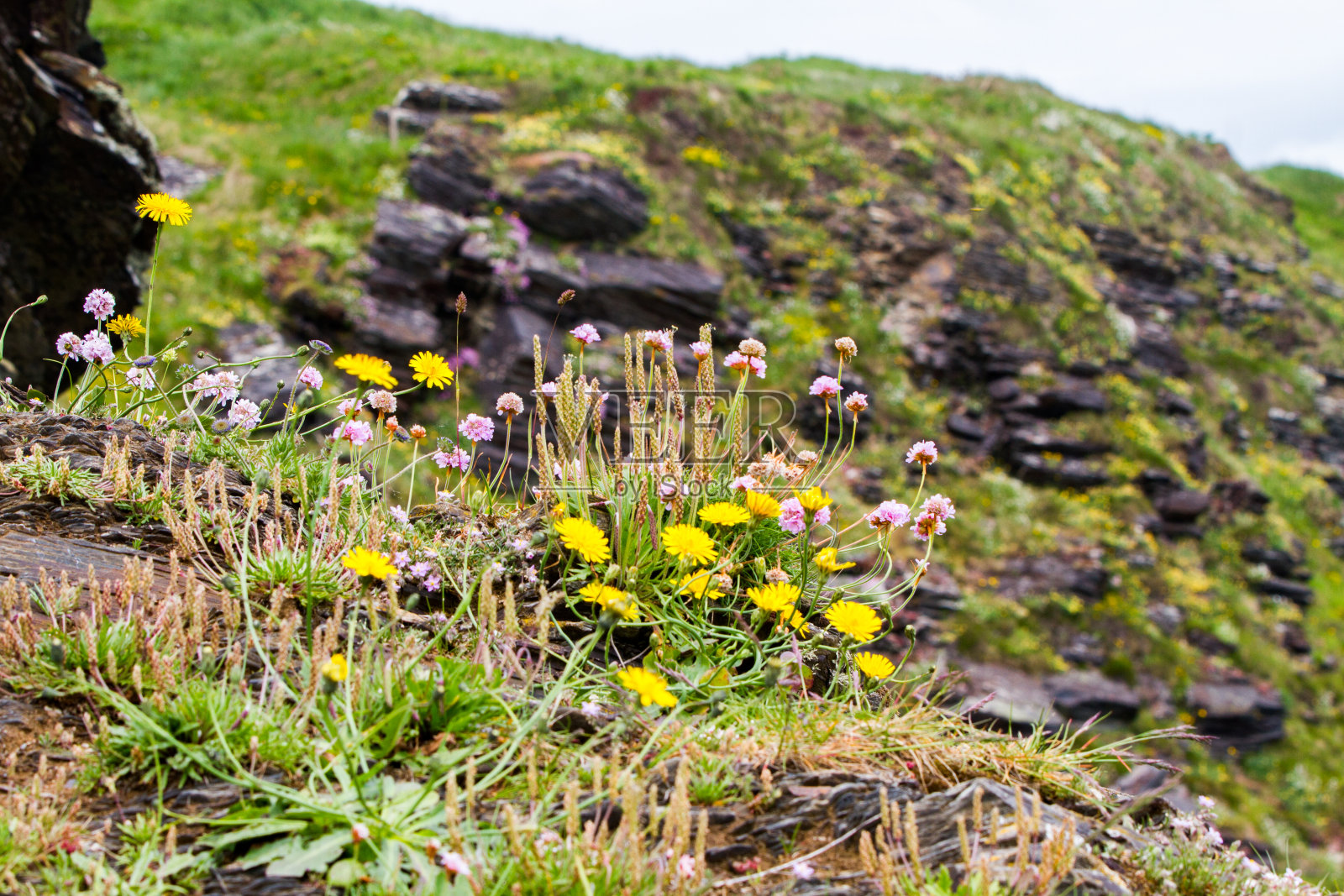 爱尔兰南部海岸线的风景照片摄影图片