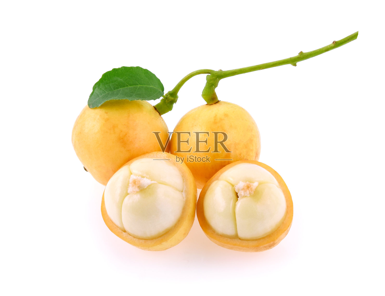 分离于白色背景上的缅甸葡萄(分枝葡萄)照片摄影图片