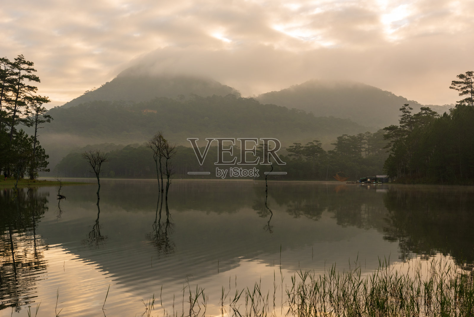 光秃秃的树反射在雾湖与戏剧性的天空和云彩在日出照片摄影图片