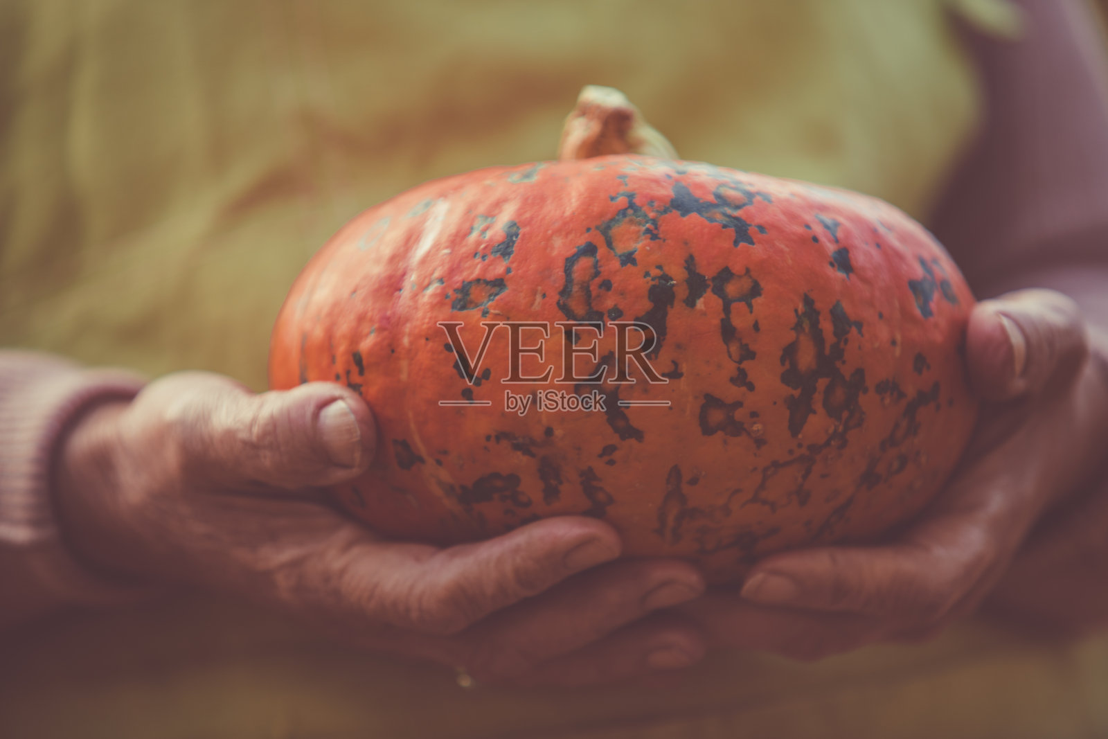 老妇人拿着南瓜照片摄影图片