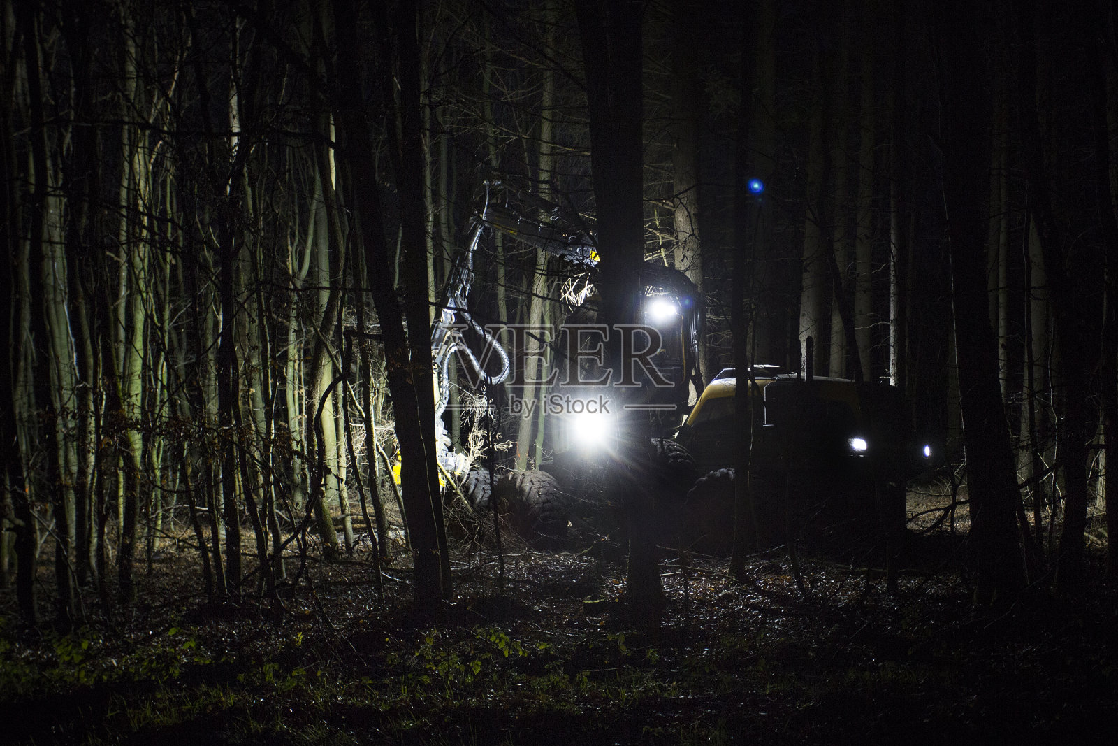 树木砍伐工作在夜间照明的车辆照片摄影图片