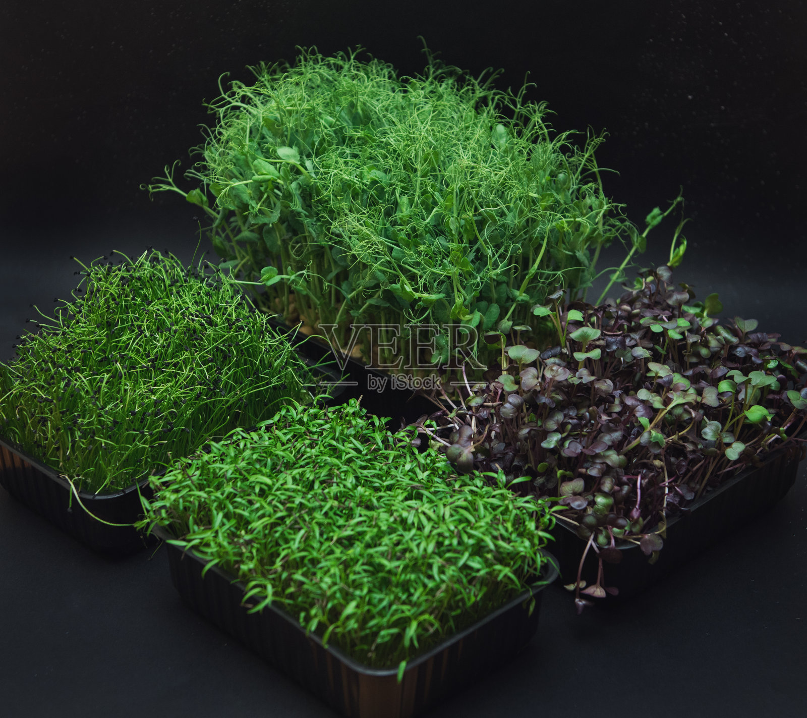 微绿色豆芽照片摄影图片